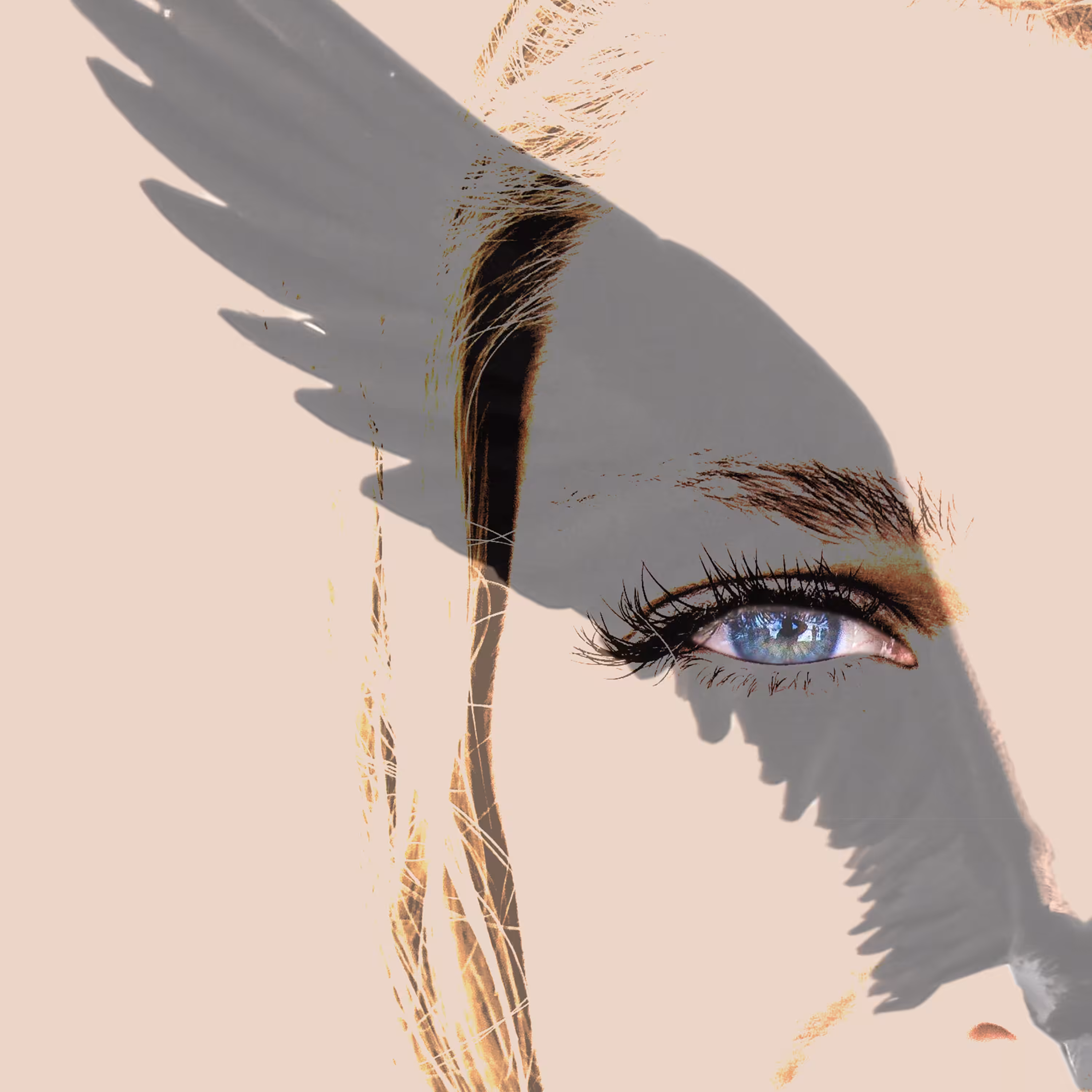 Have Wings Will Trave(l)