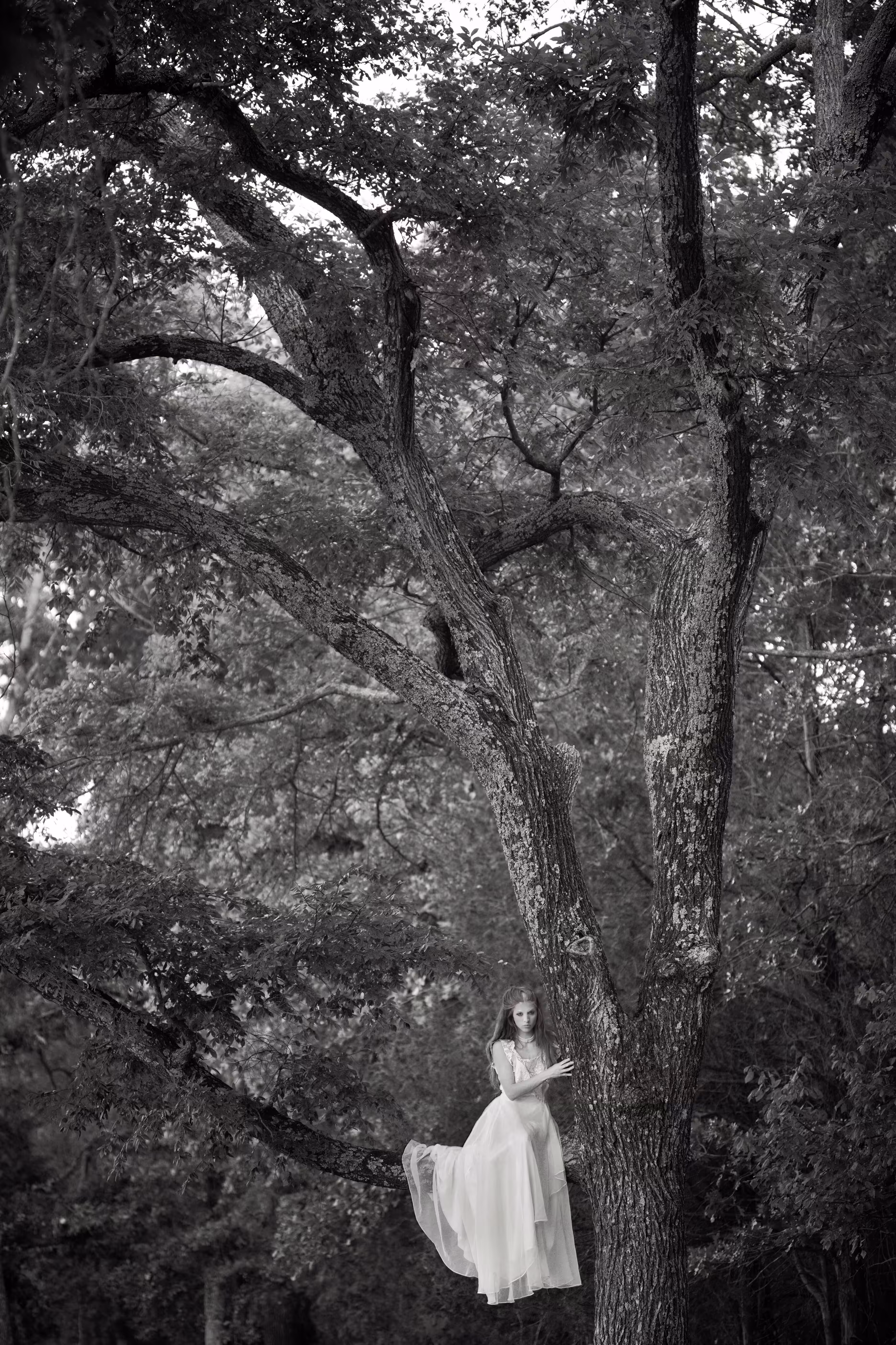 The Woman in White