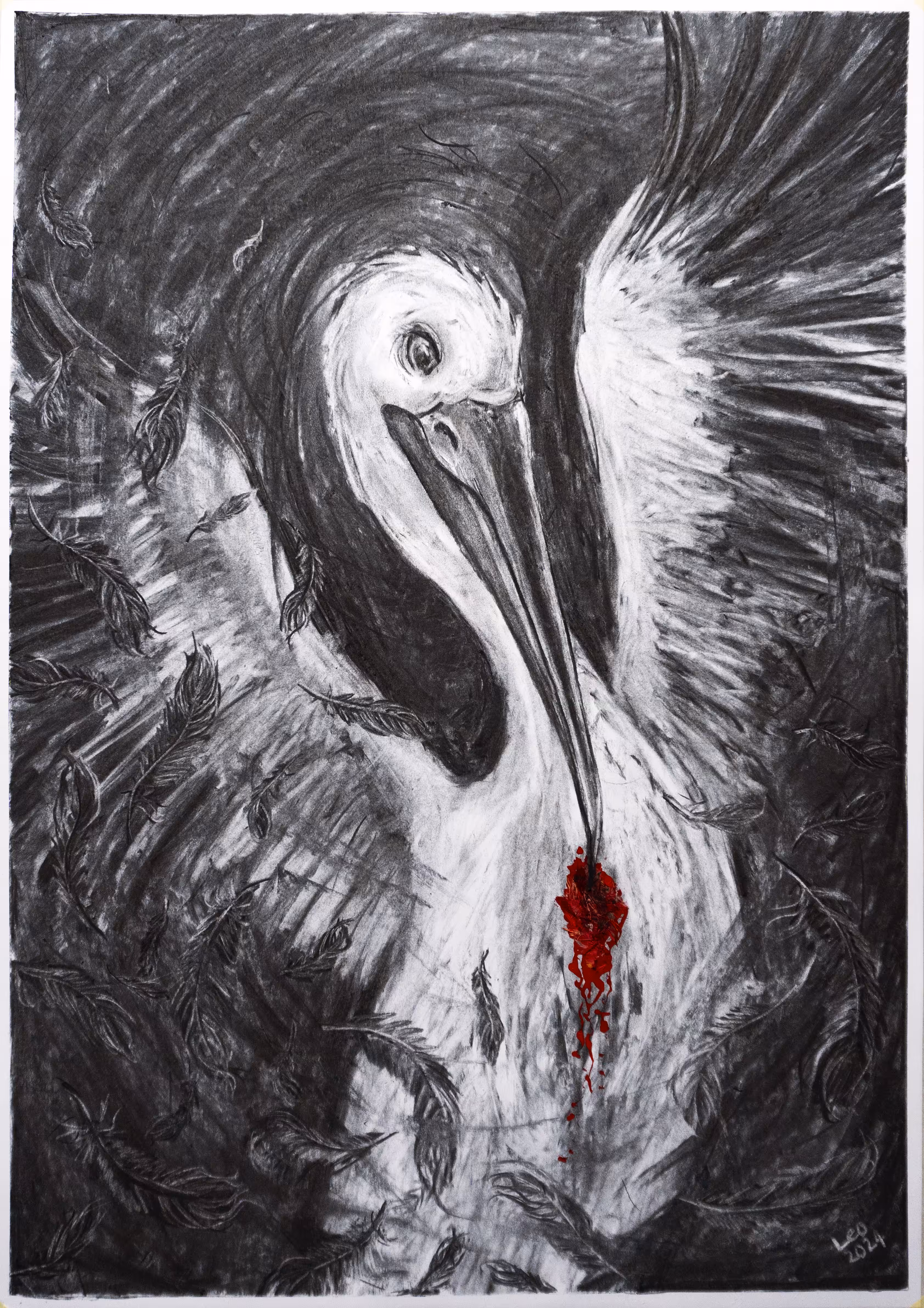 Pelican