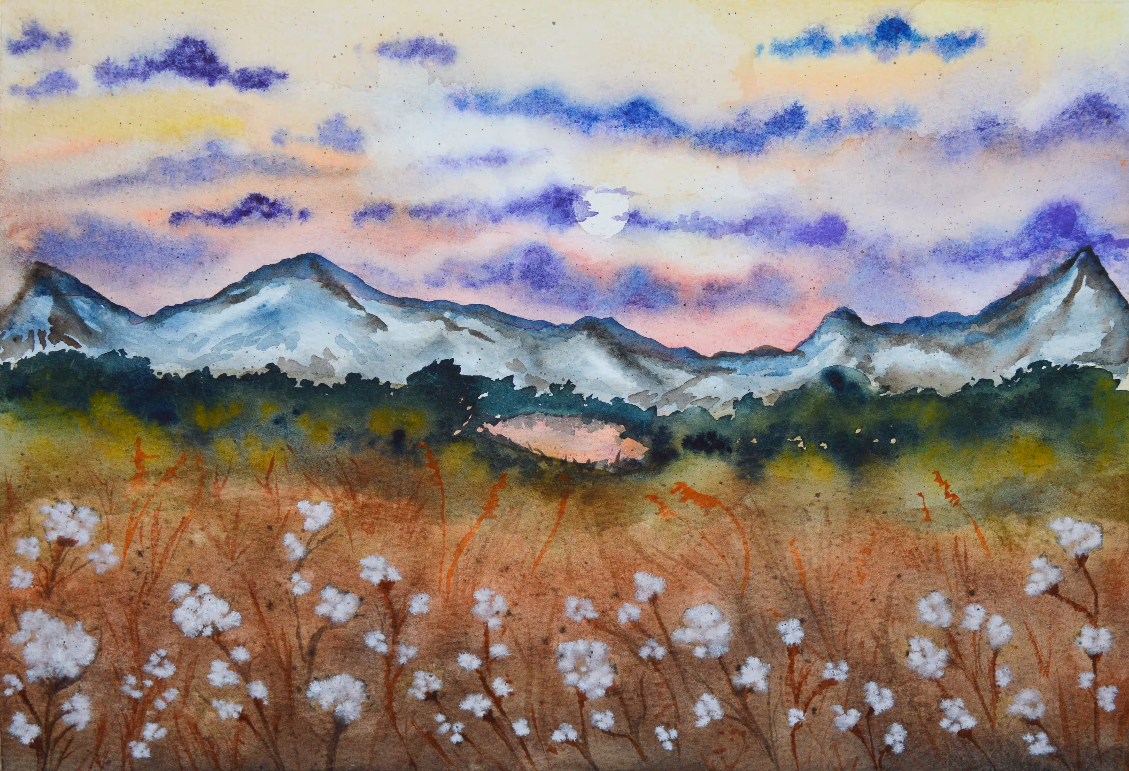 Cotton field