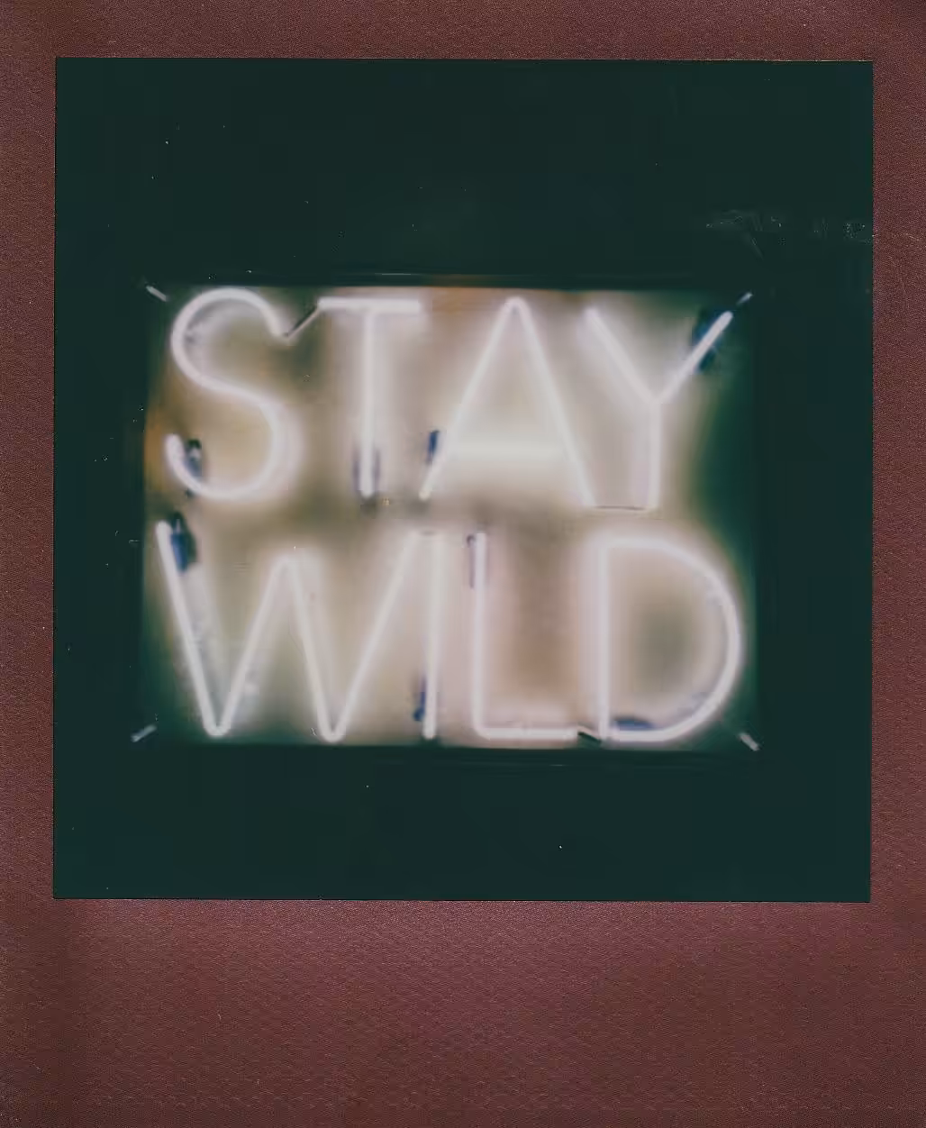 Stay Wild