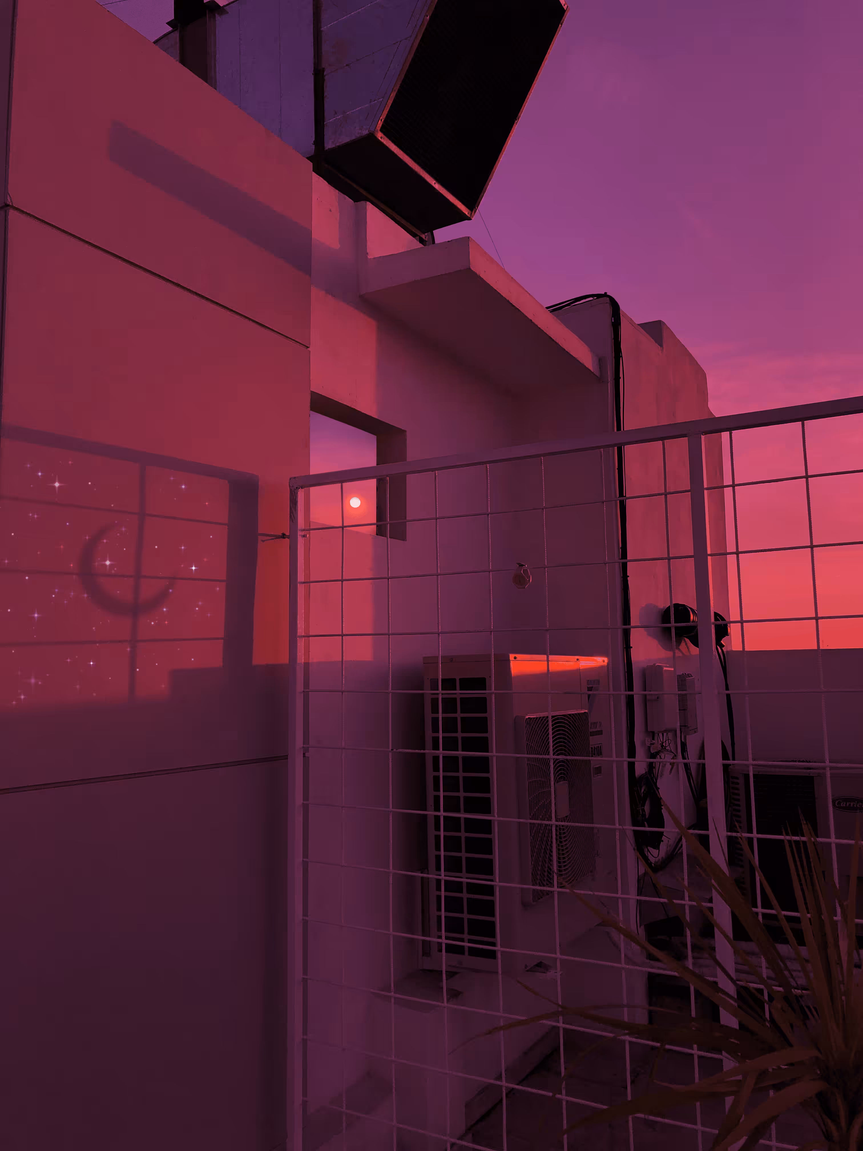 Pink & Purple World #43
