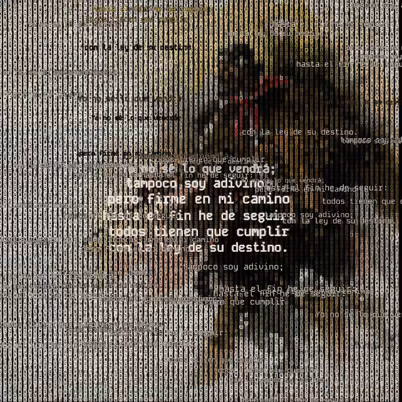 A hacker in the Pampas #209
