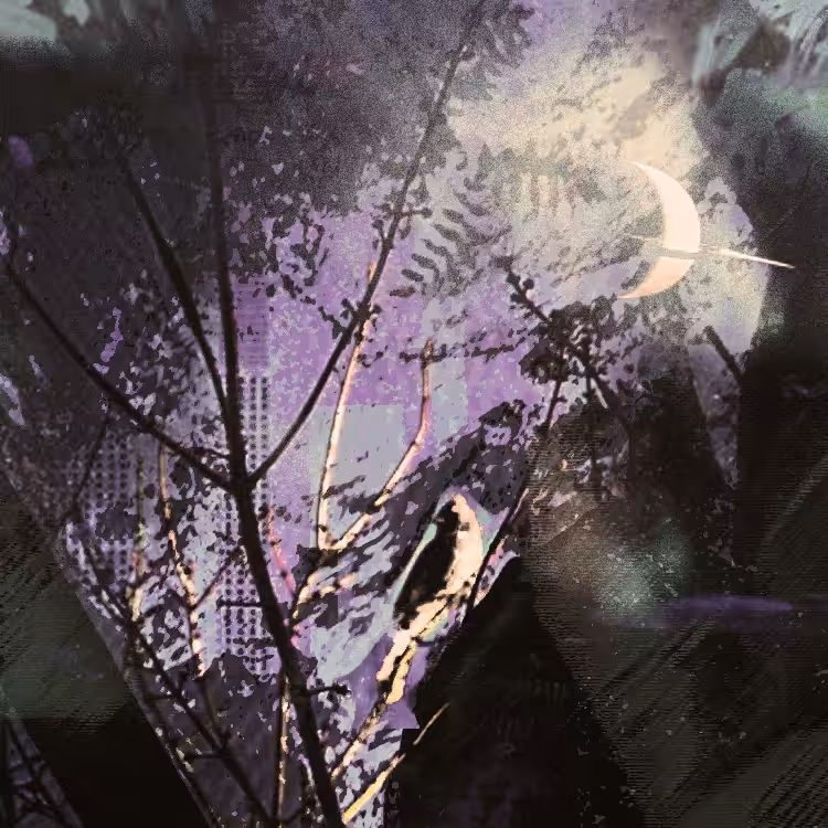 Nightspace #1