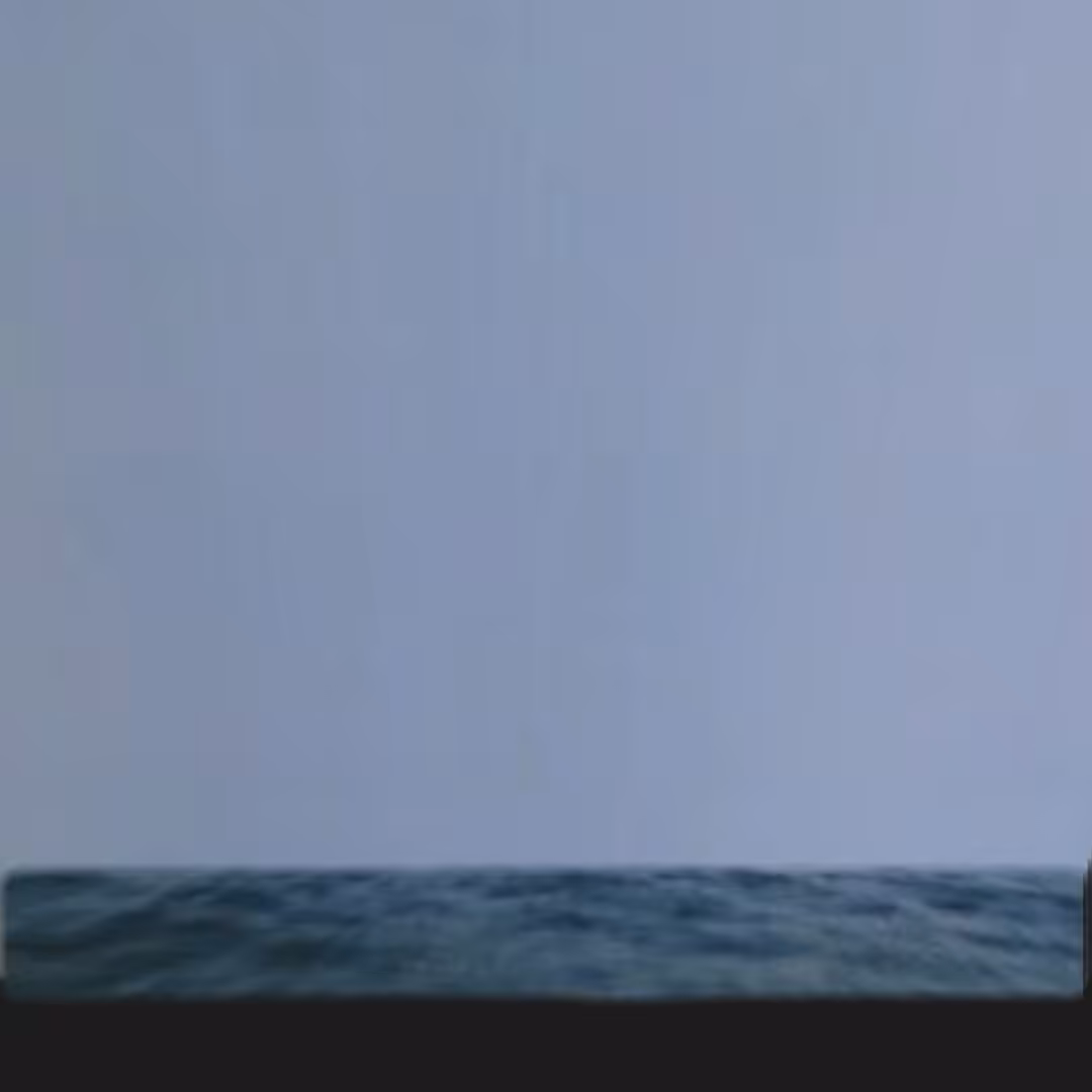 23.12.03-@-12.52.45.mp4
