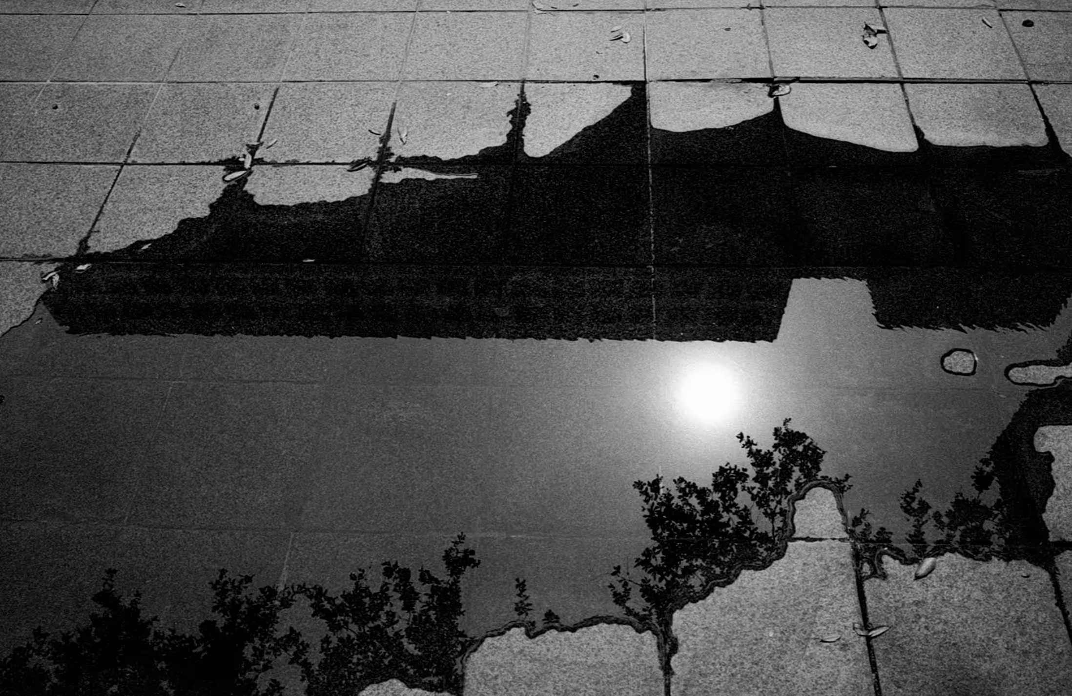Puddle on Lamar St.