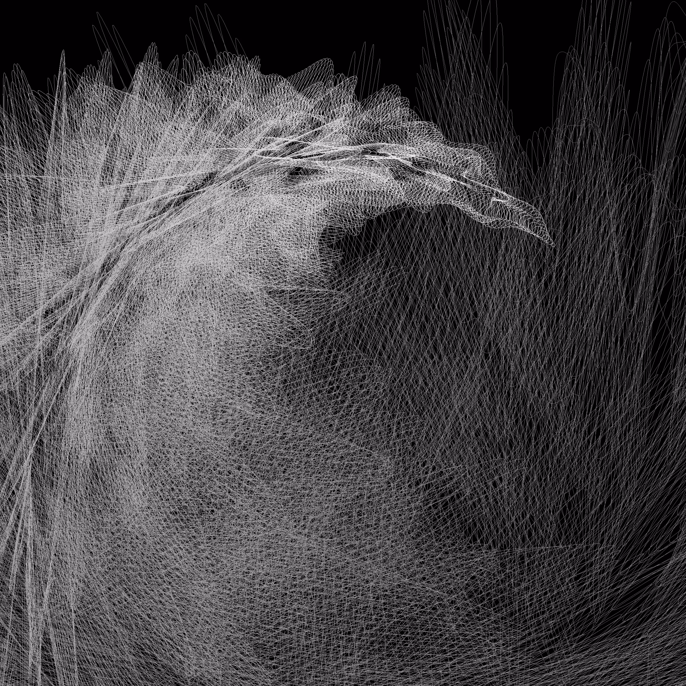 Sketch #2 - The Phoenix