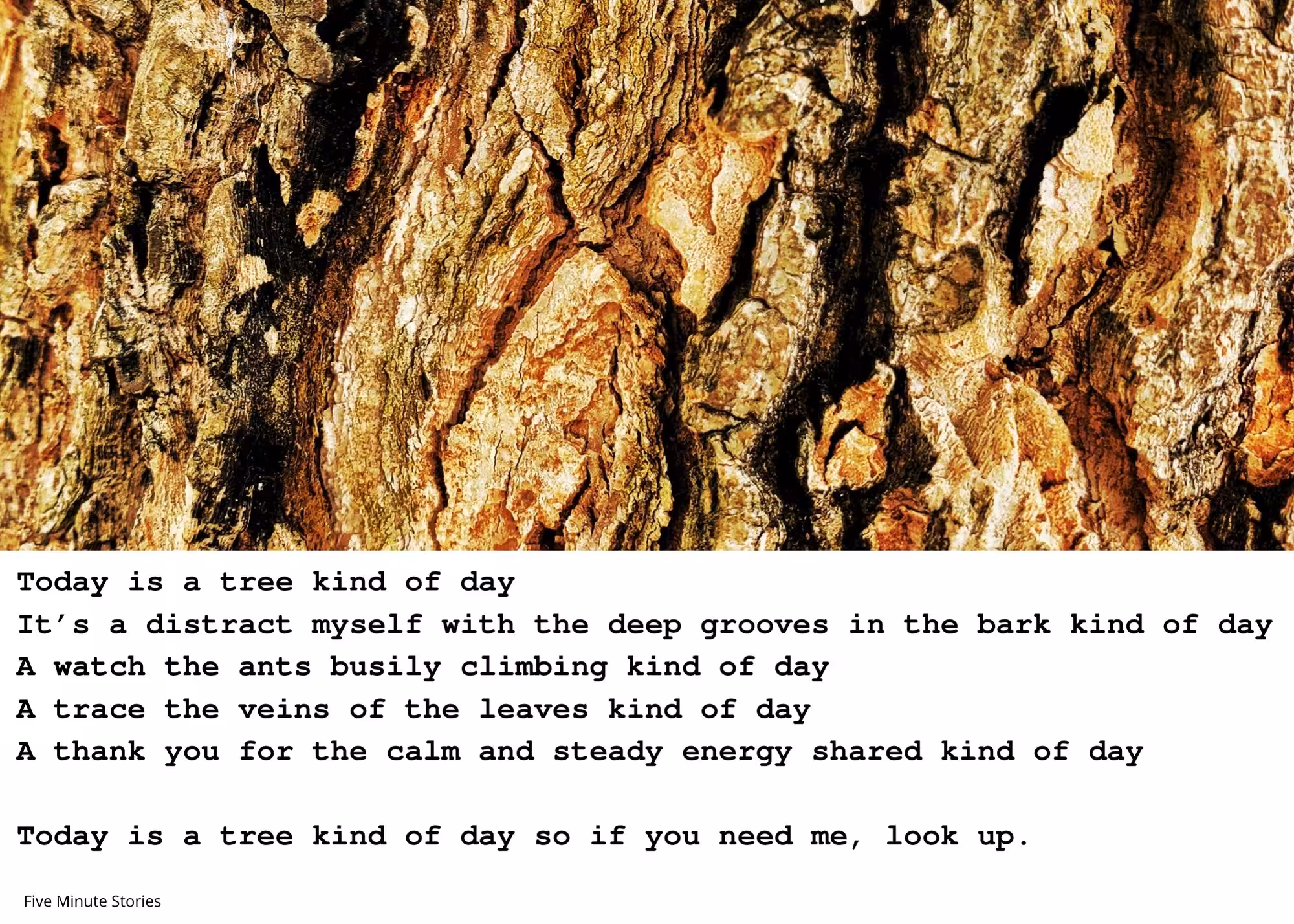 A Tree Kind Of Day