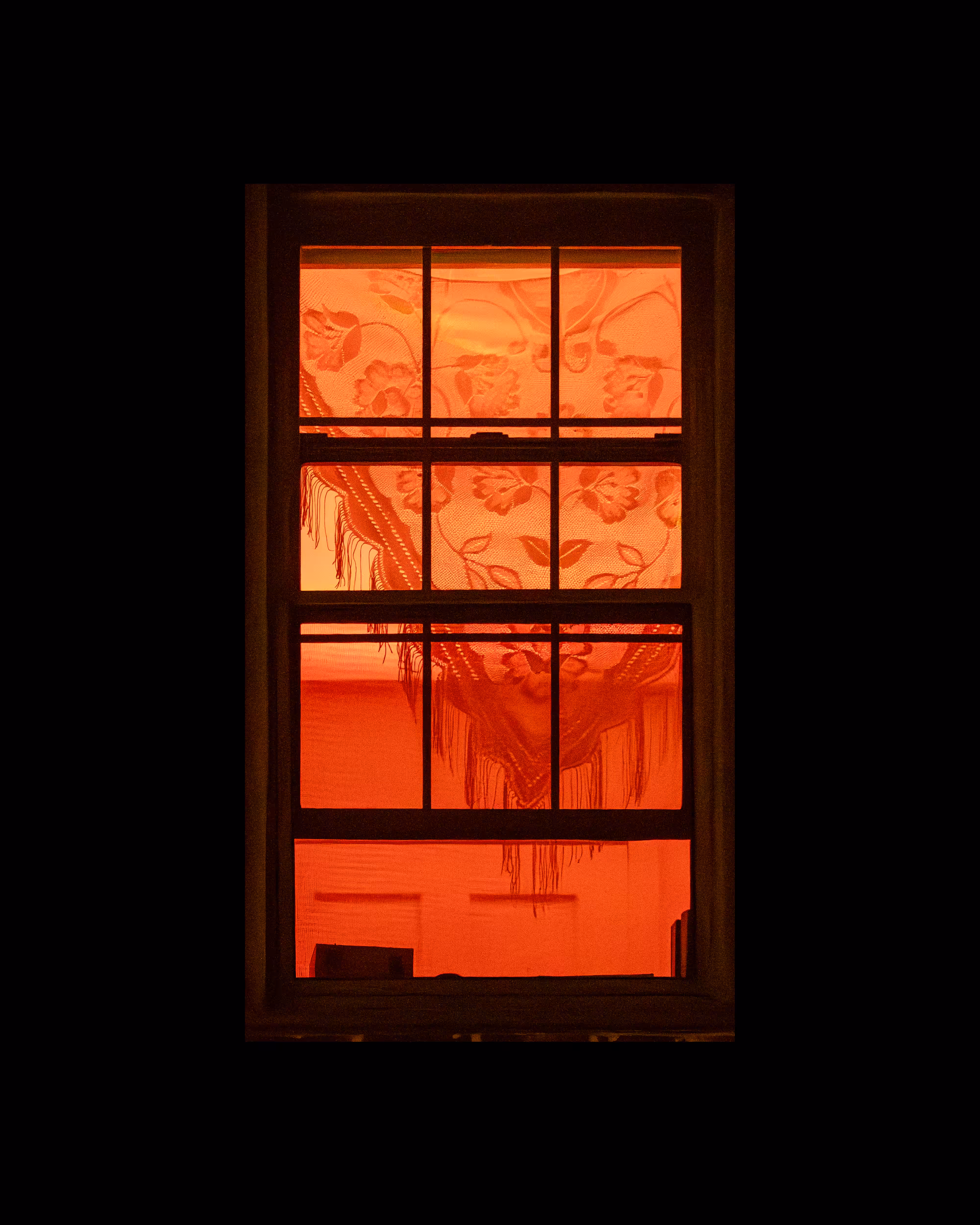 WINDOWS // NYC: WINDOW 436