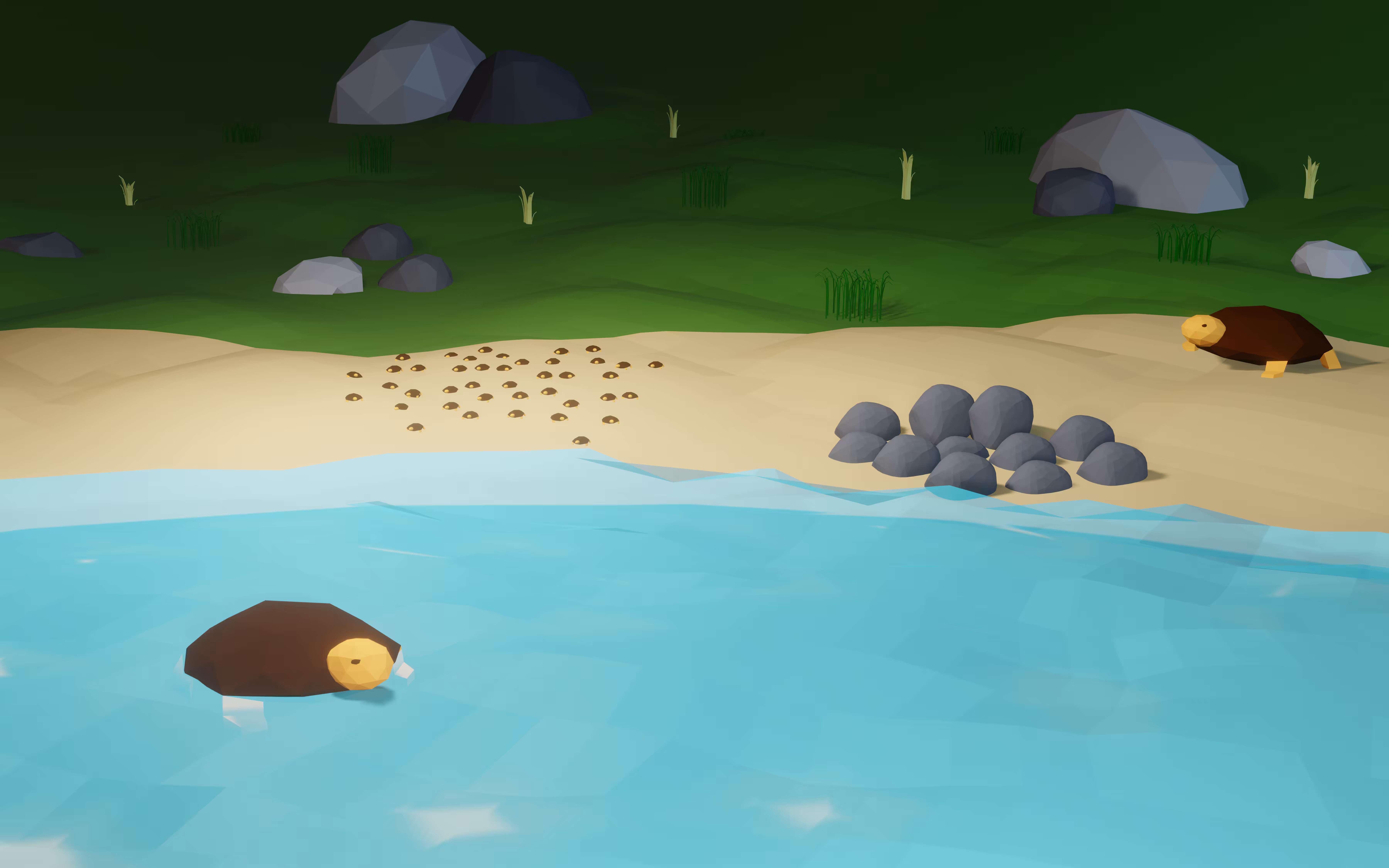 low poly turtles