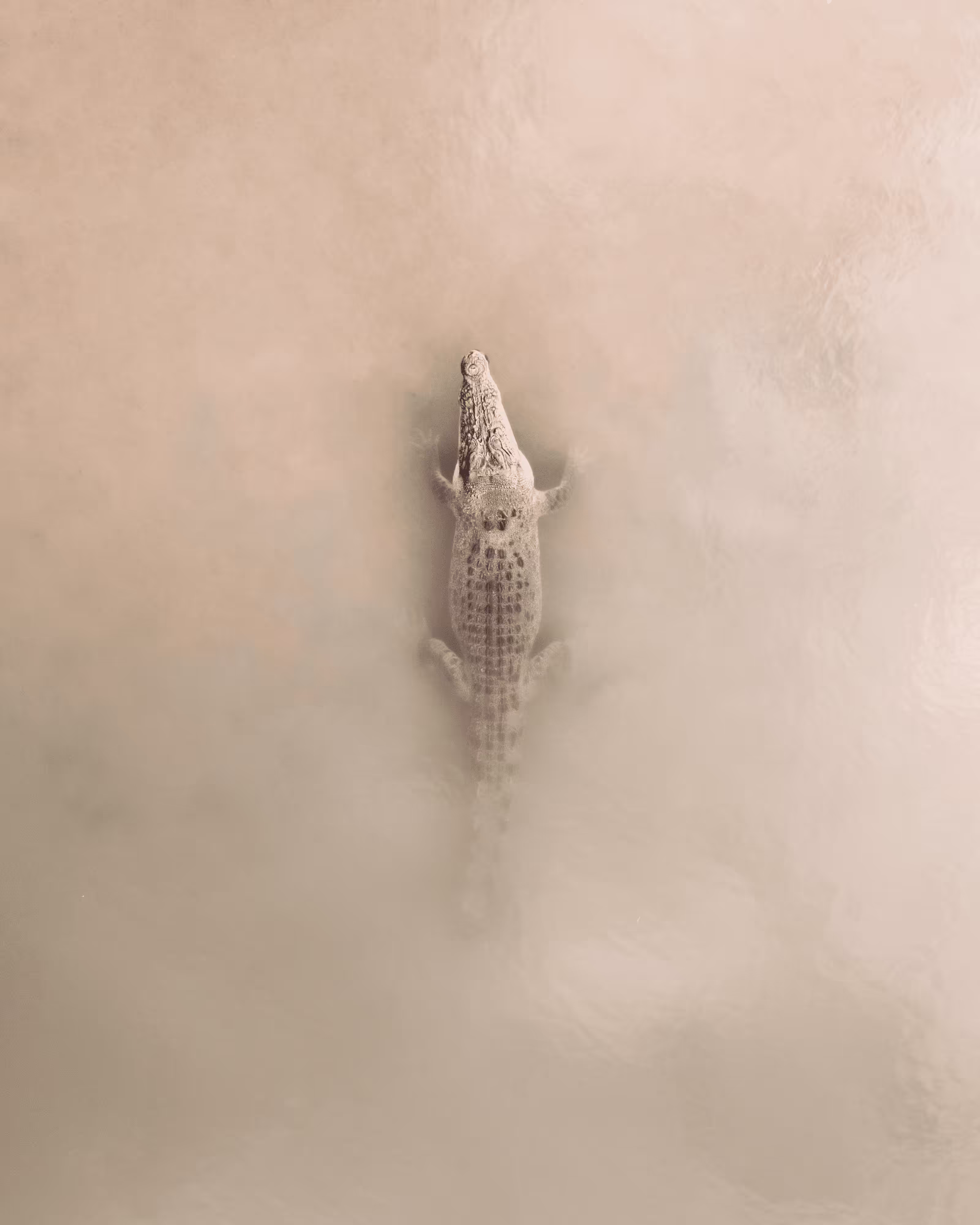 Less is more #3