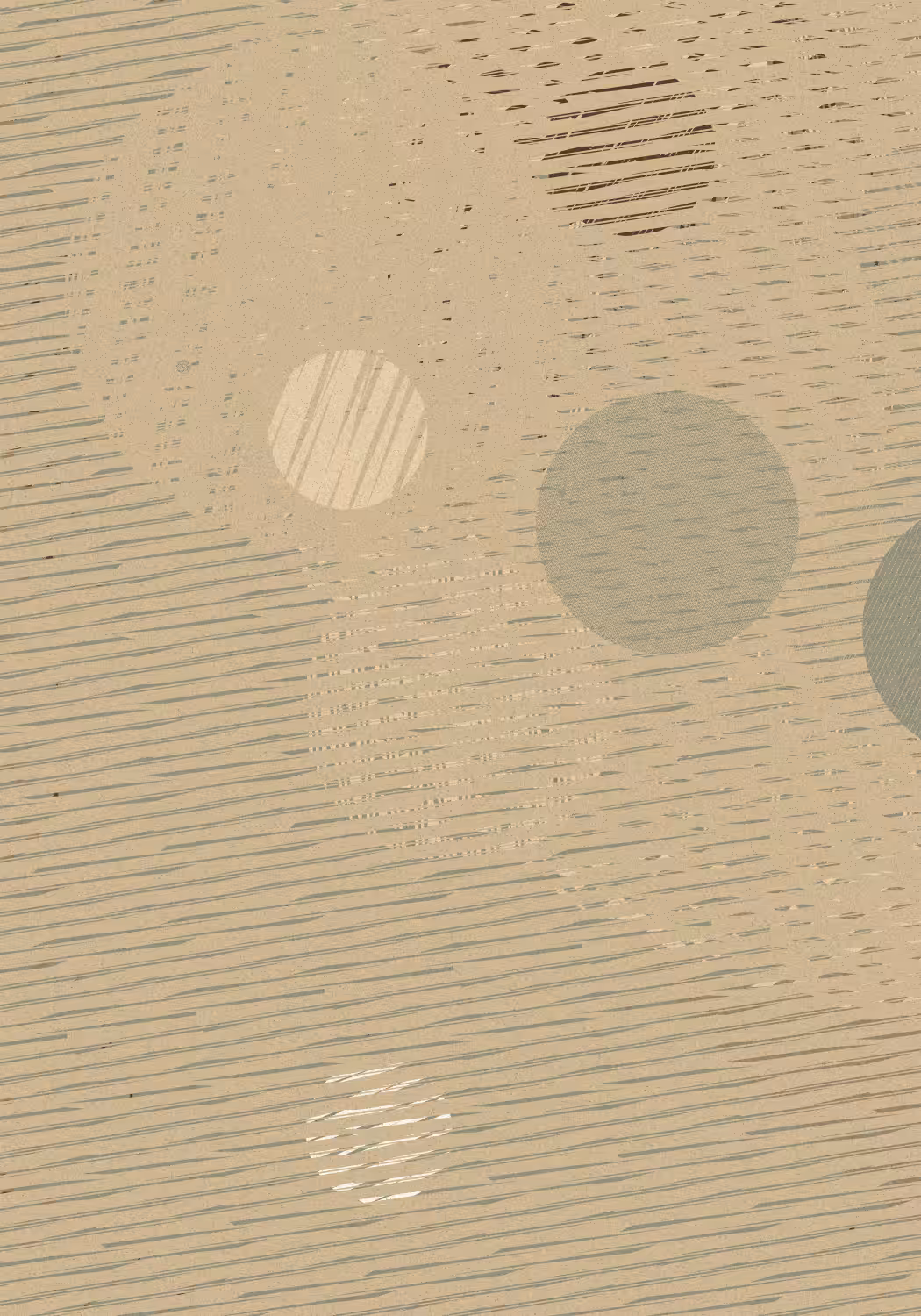 HBDFXH01 #314
