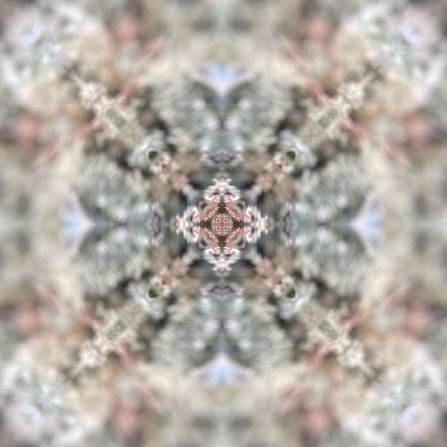 Flower Mandala 07