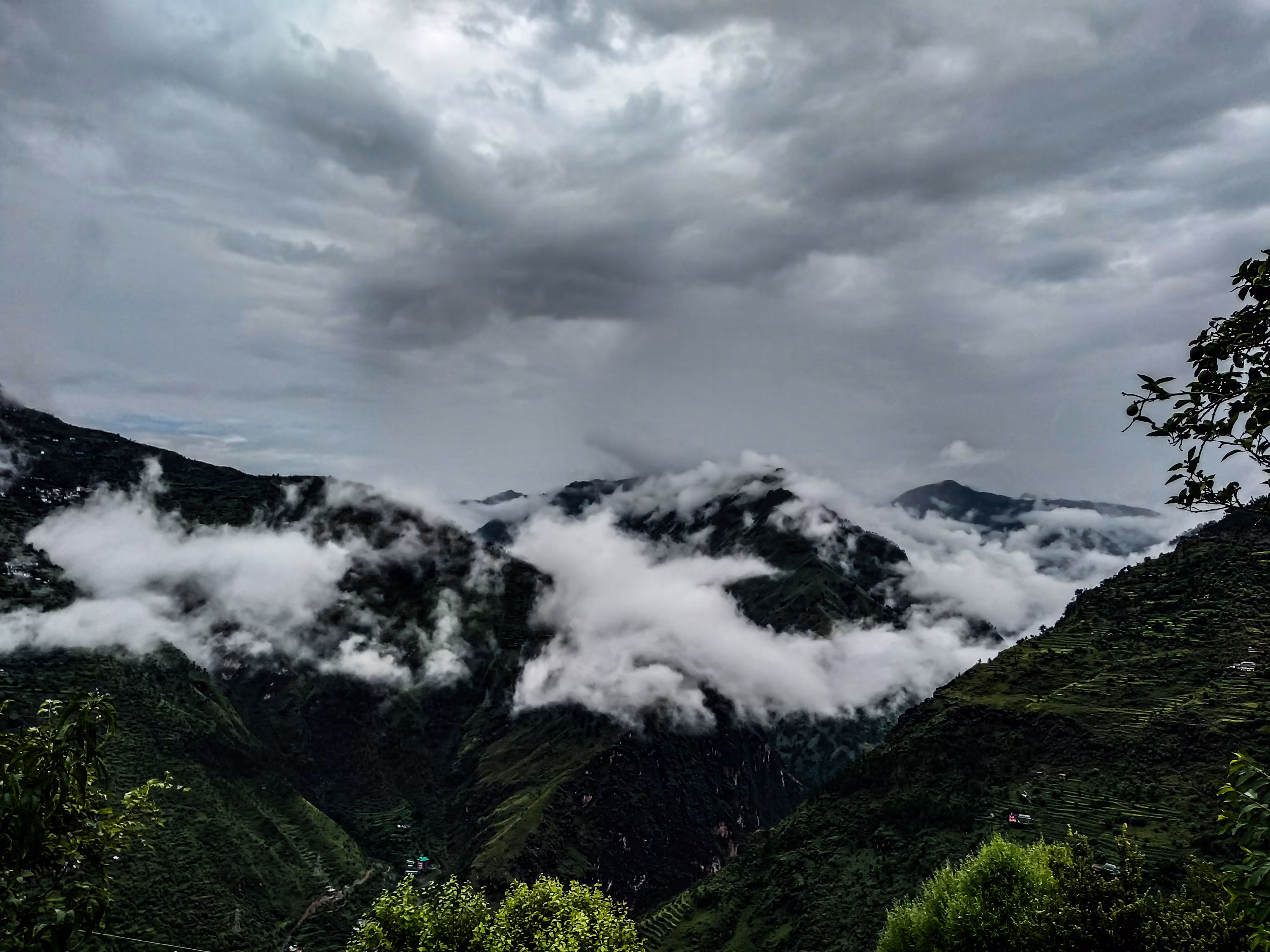 Nature's Breath 