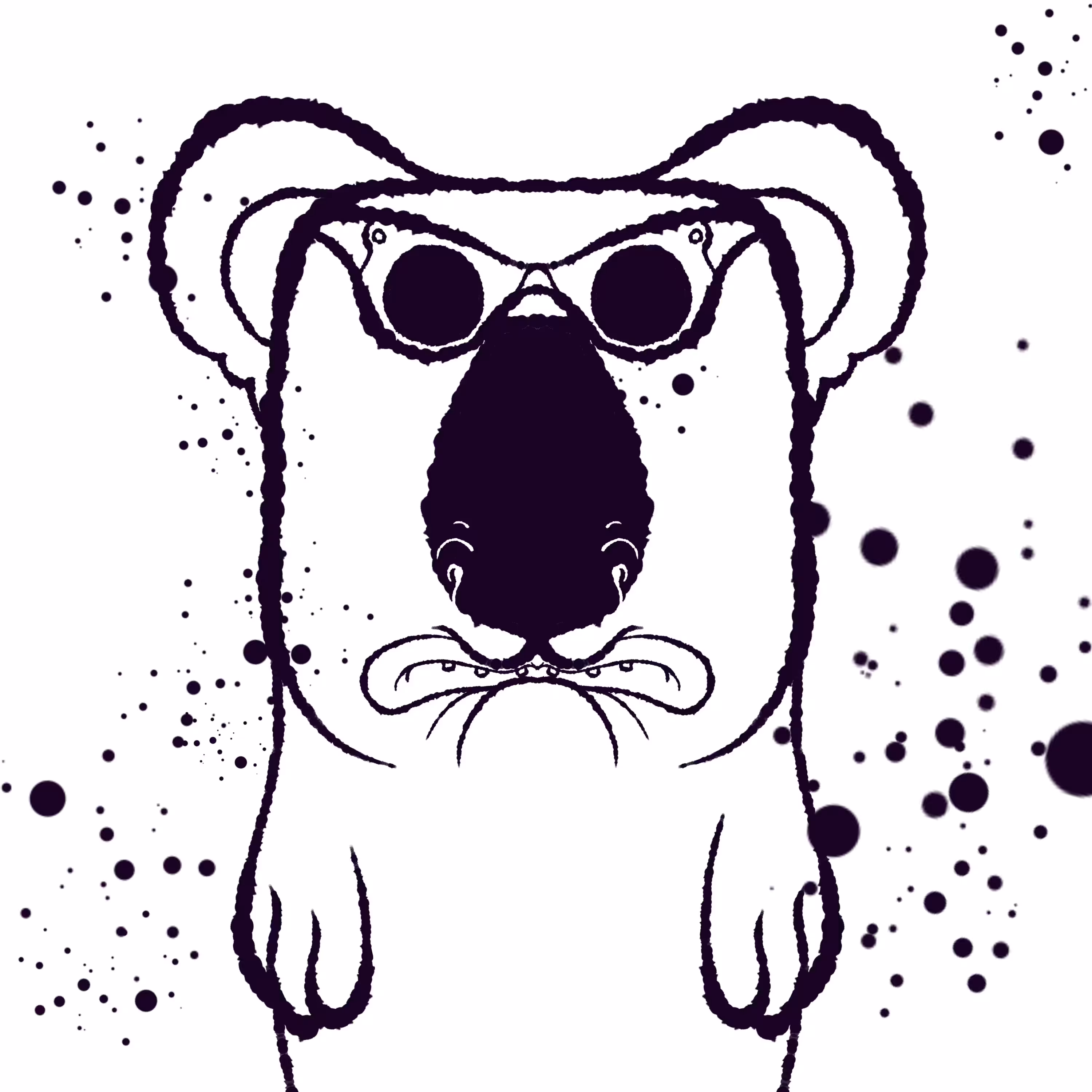 Koala #497