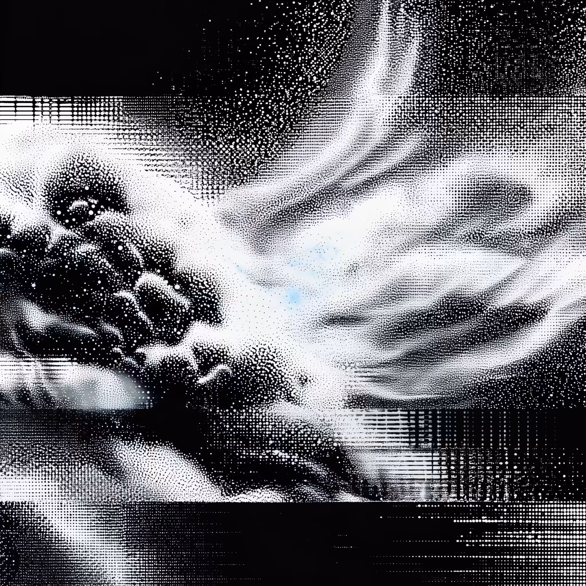Fold [21]