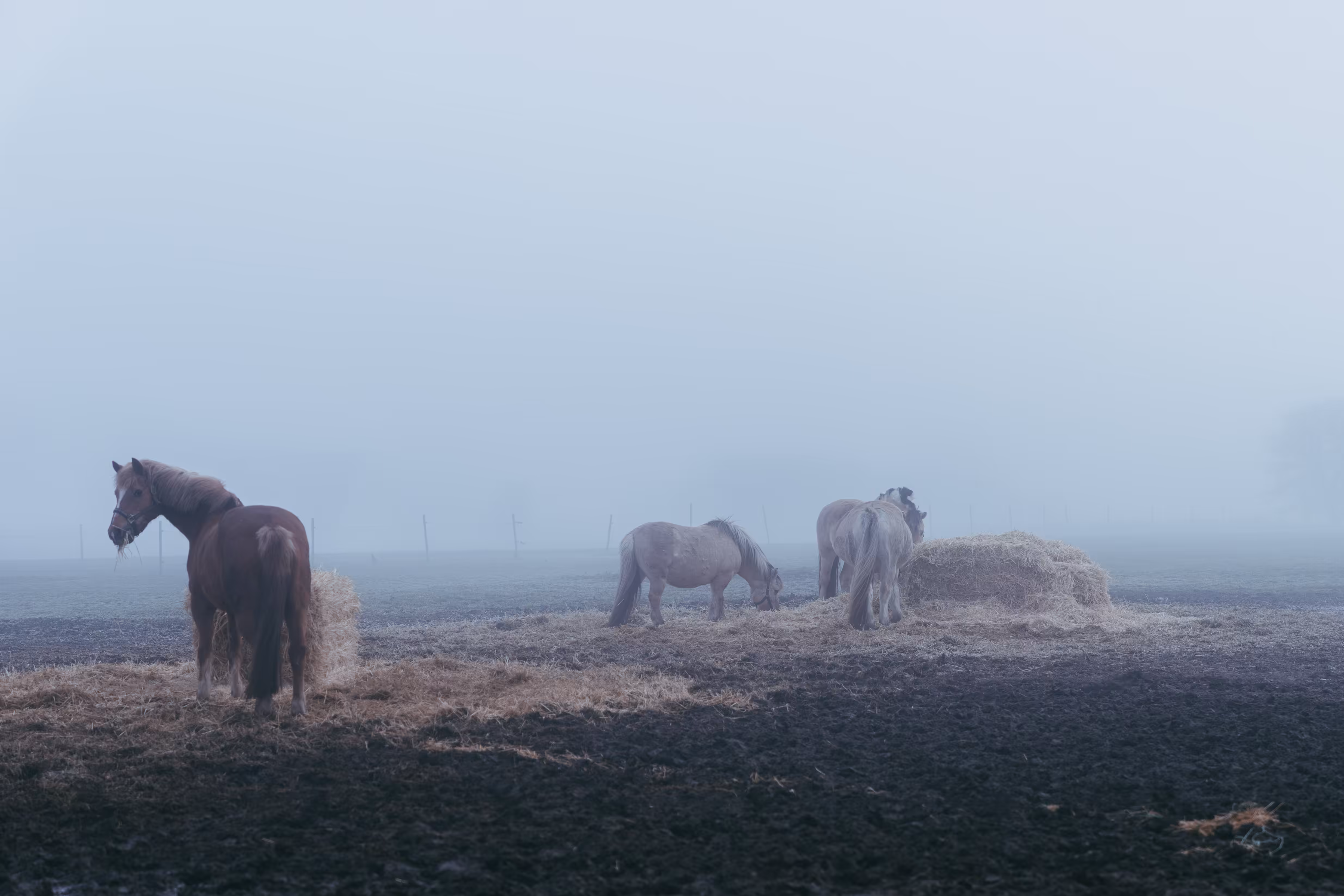 the blue hour