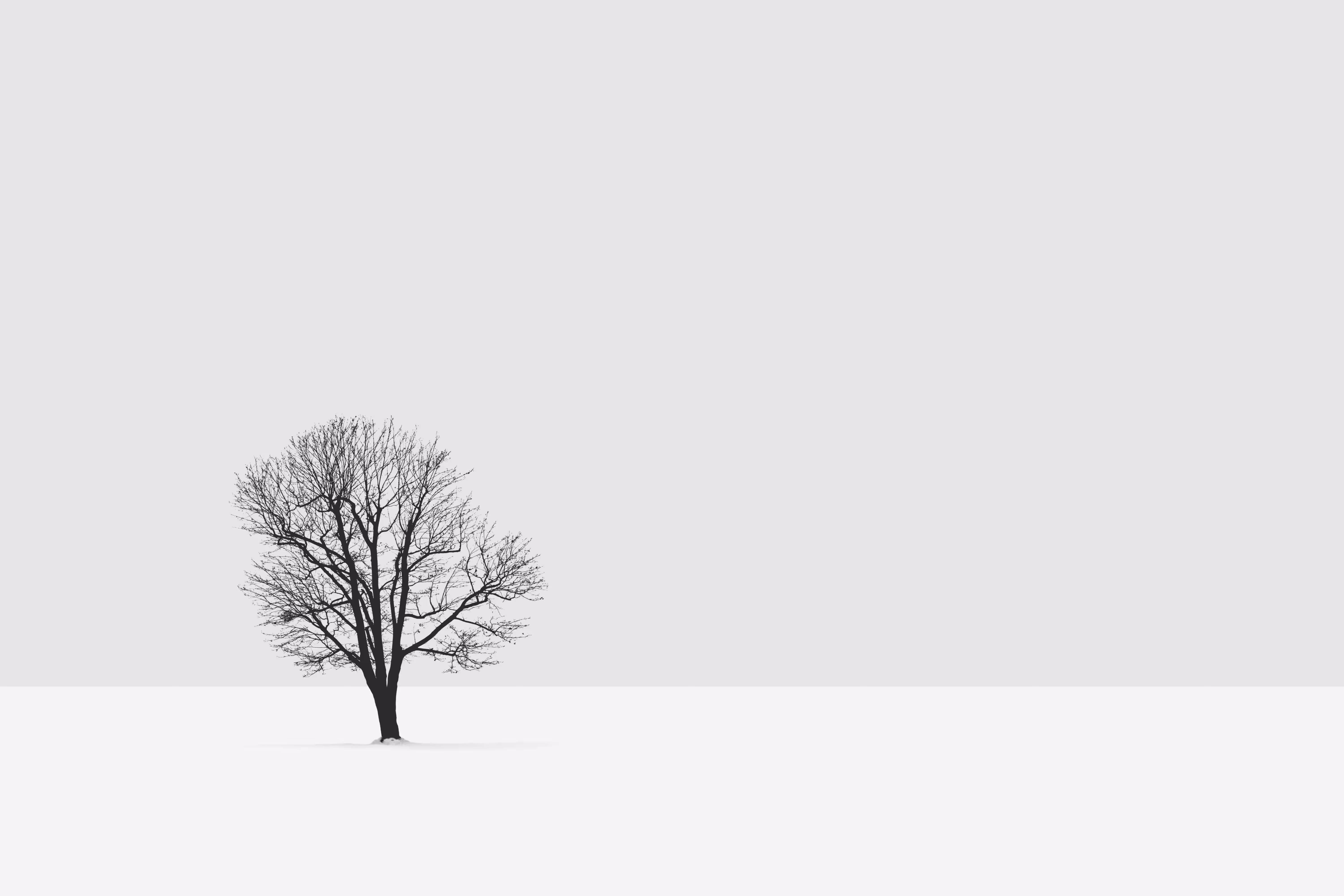 Minimal #01