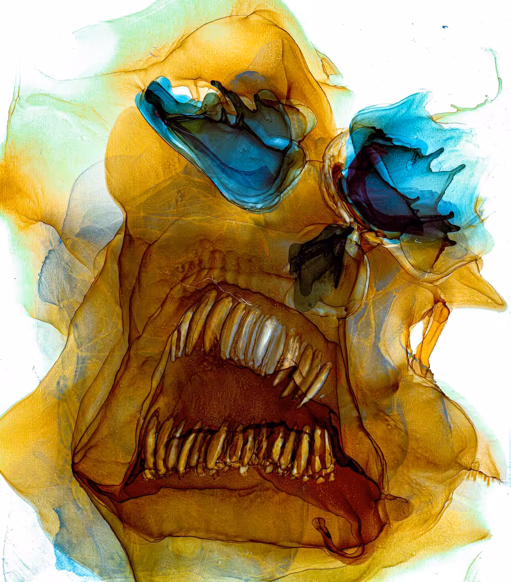 Masked and Anonymous #3