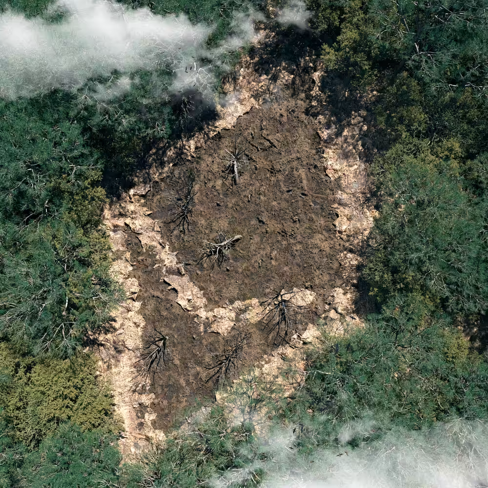 Footprint