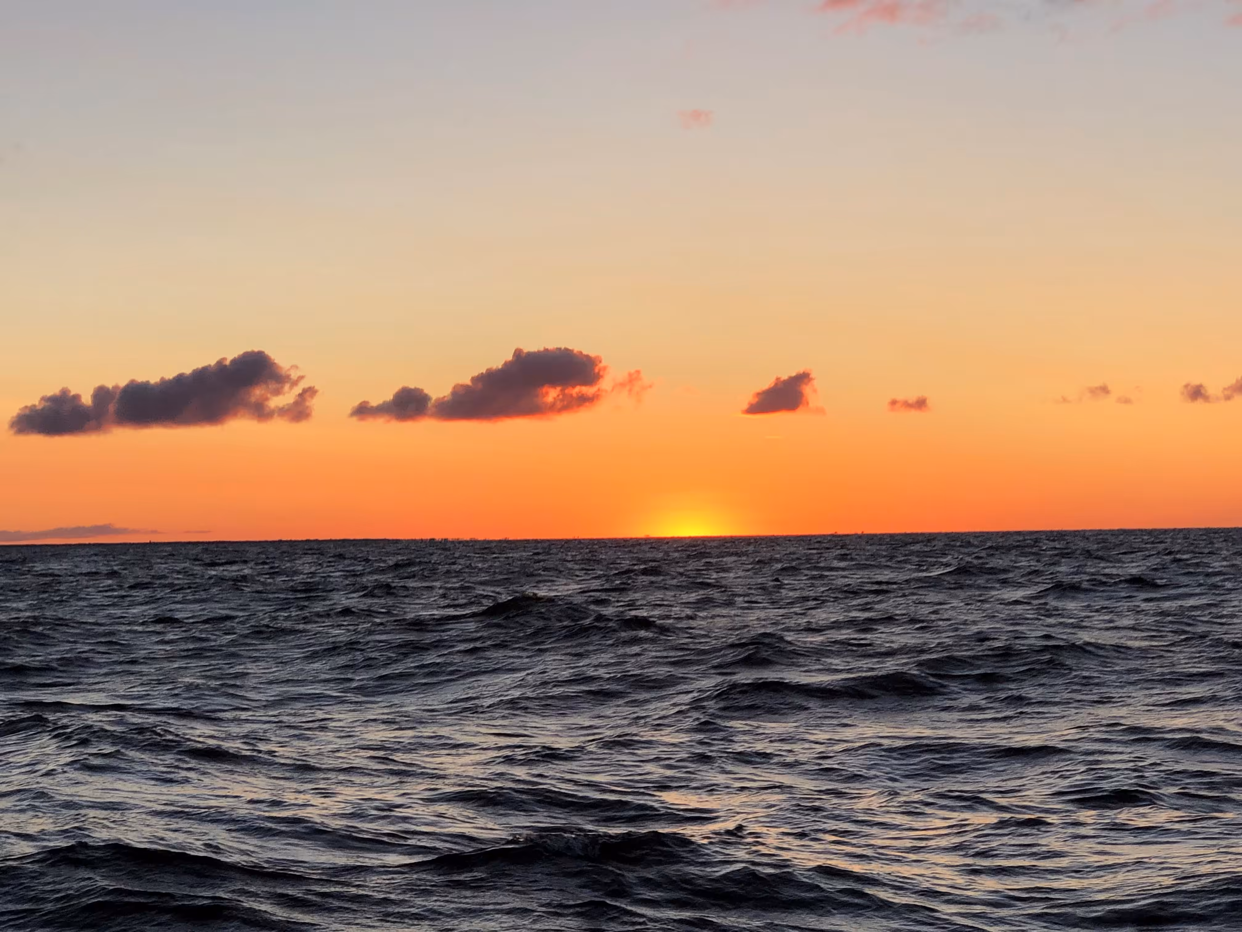 Early Sun