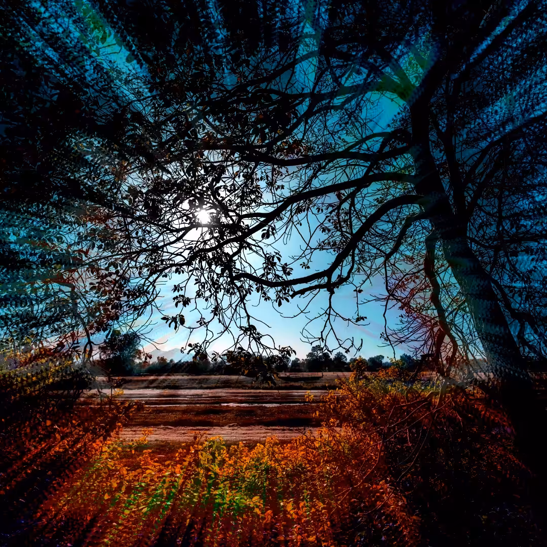 Echoes of Light