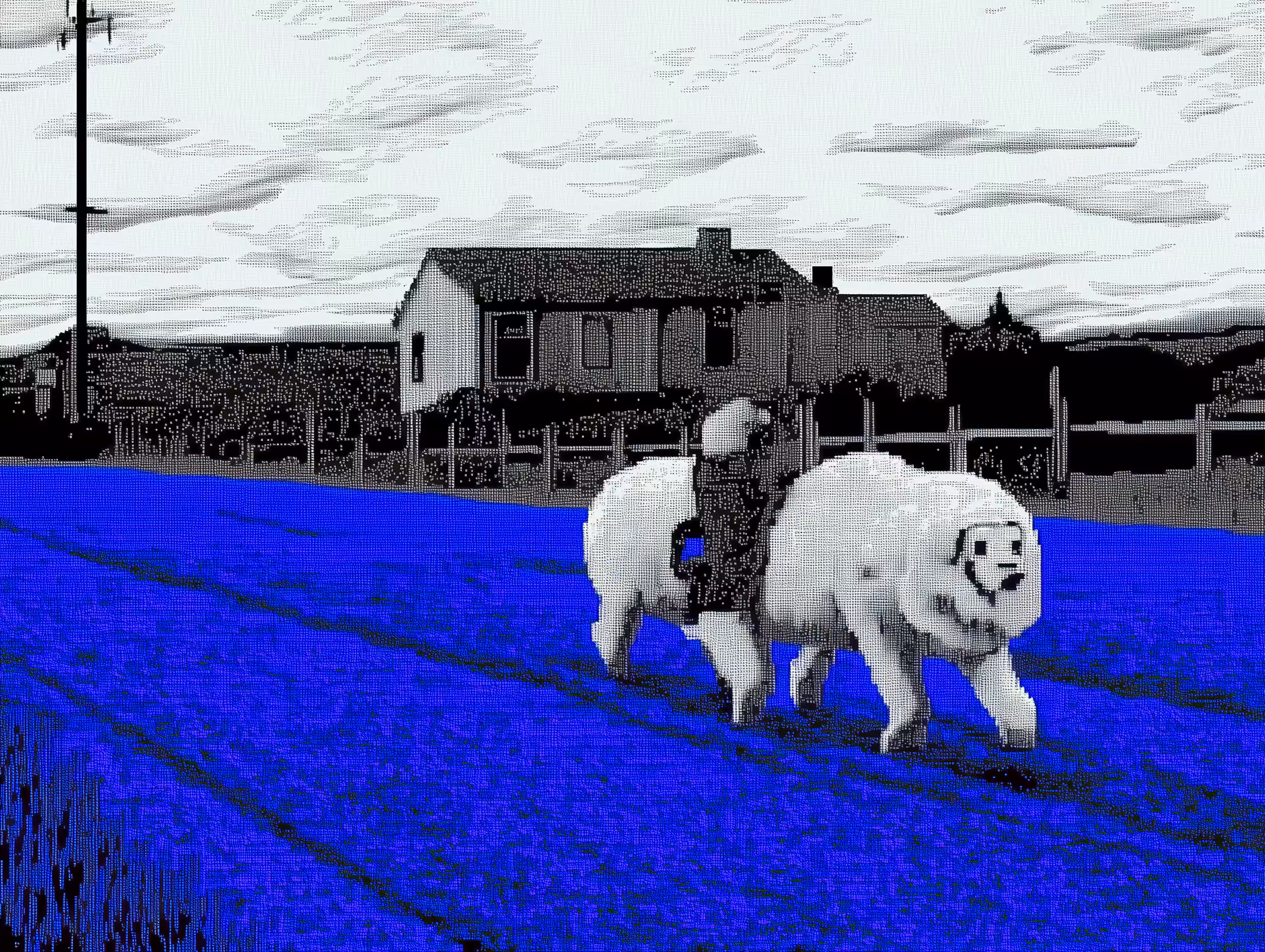 𝙏𝙍𝘼𝙉𝙎𝙈𝙄𝙎𝙎𝙄𝙊𝙉𝙎