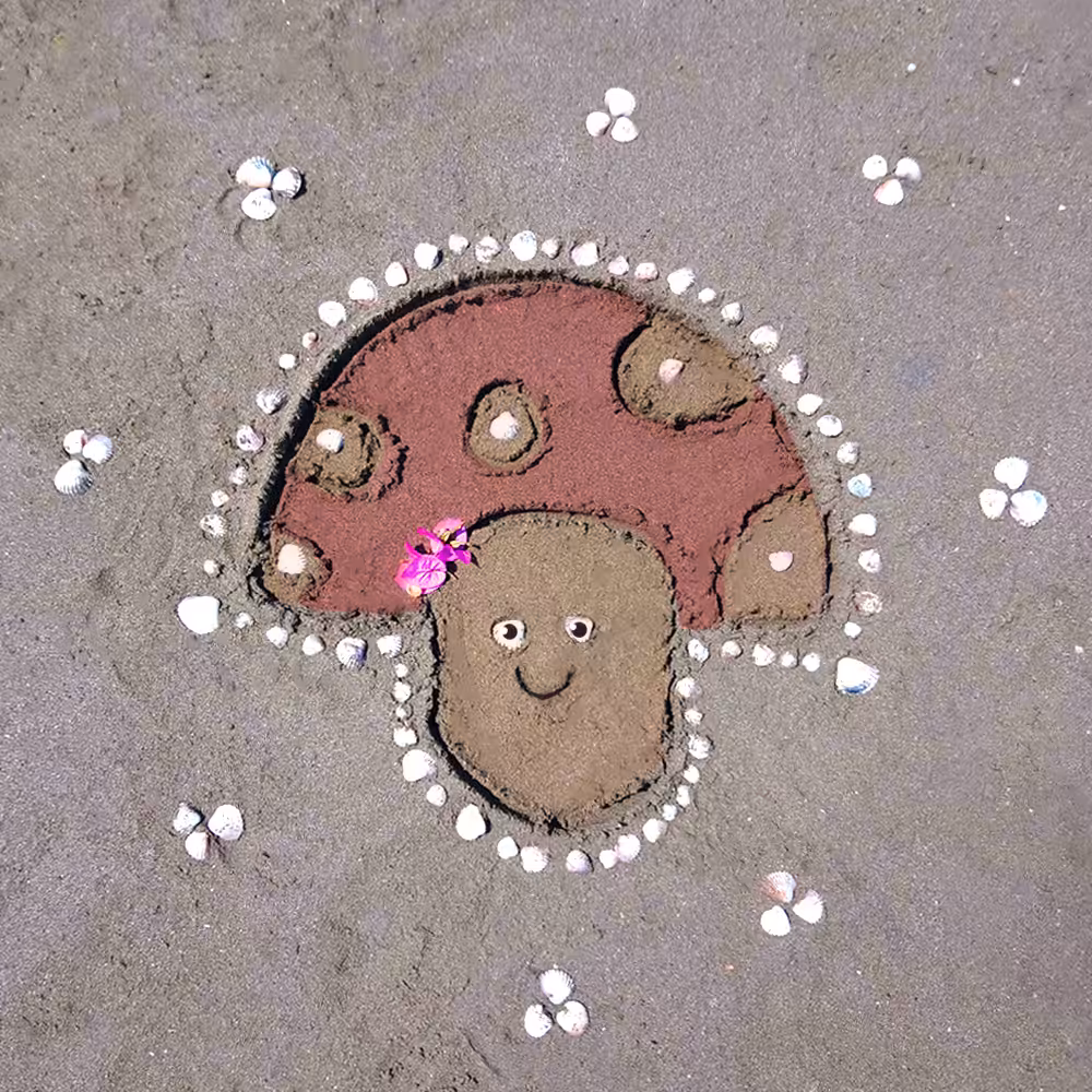 Sand Mushroom