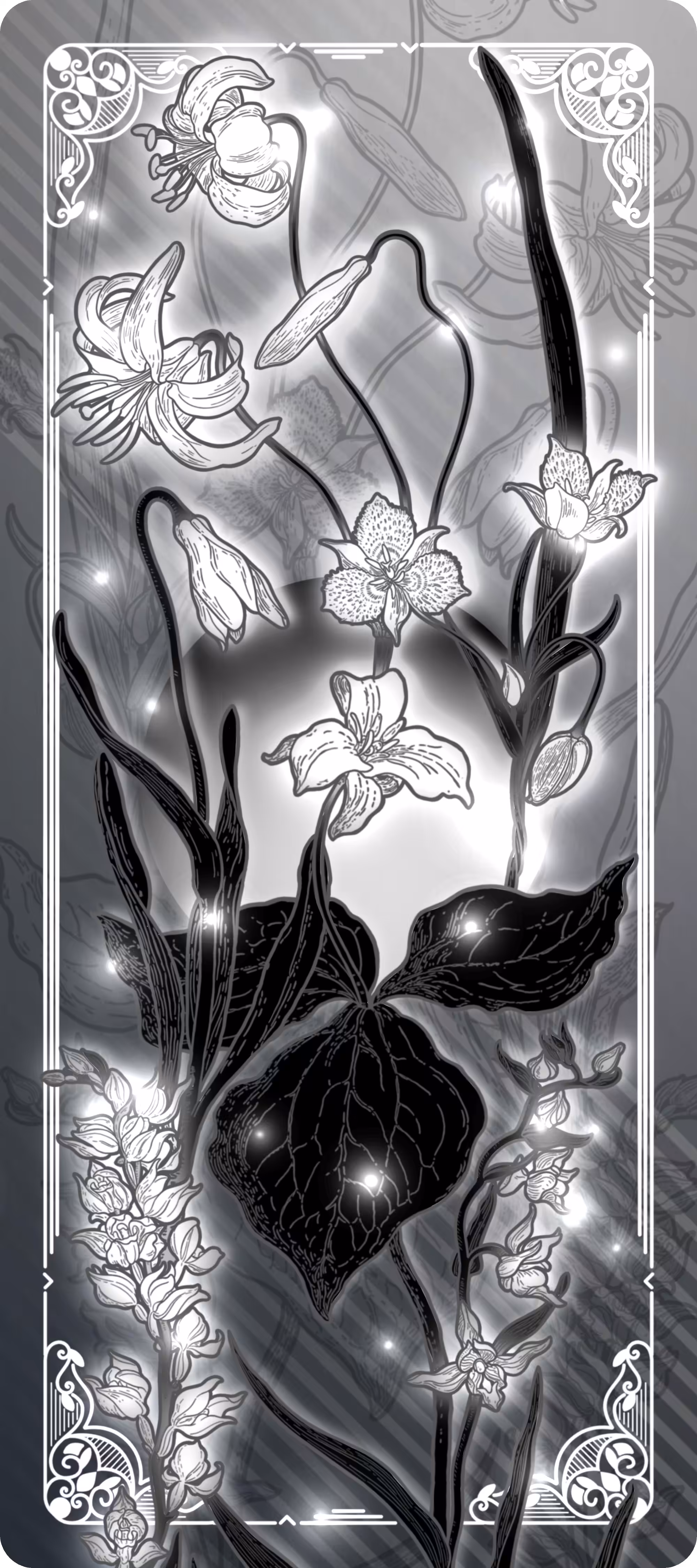 EX Deck №.01 Colorless