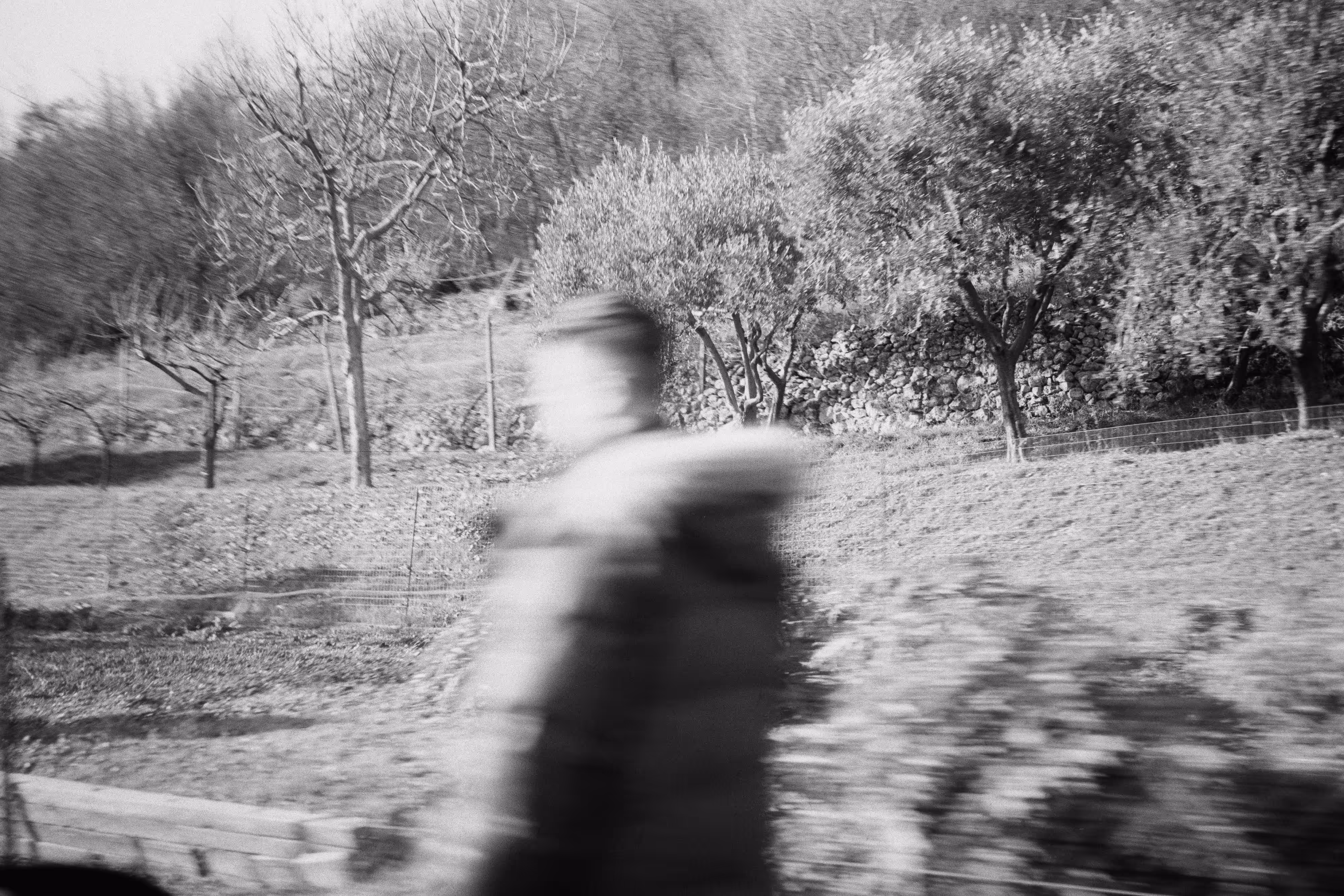 IMAGE 24