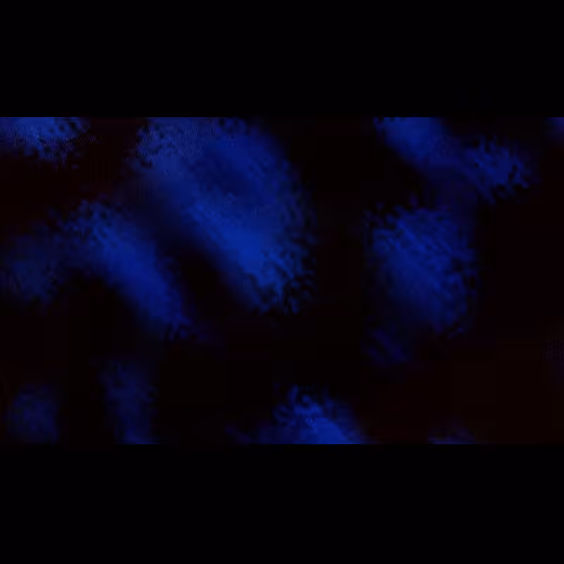 ƧЦBƧƬЯΛƬӨ DΣ PӨΣIЯΛ #21