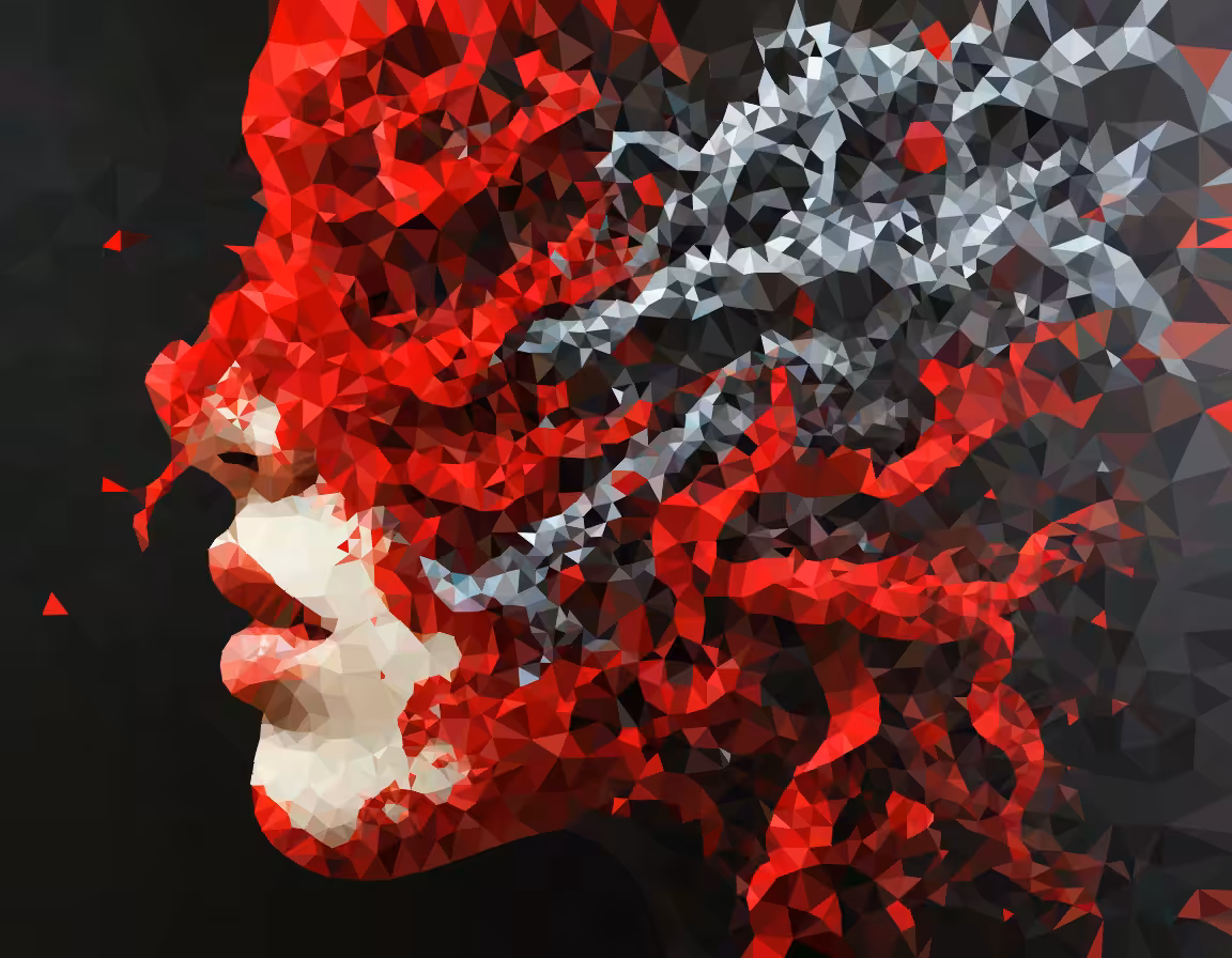 Fractured Identity