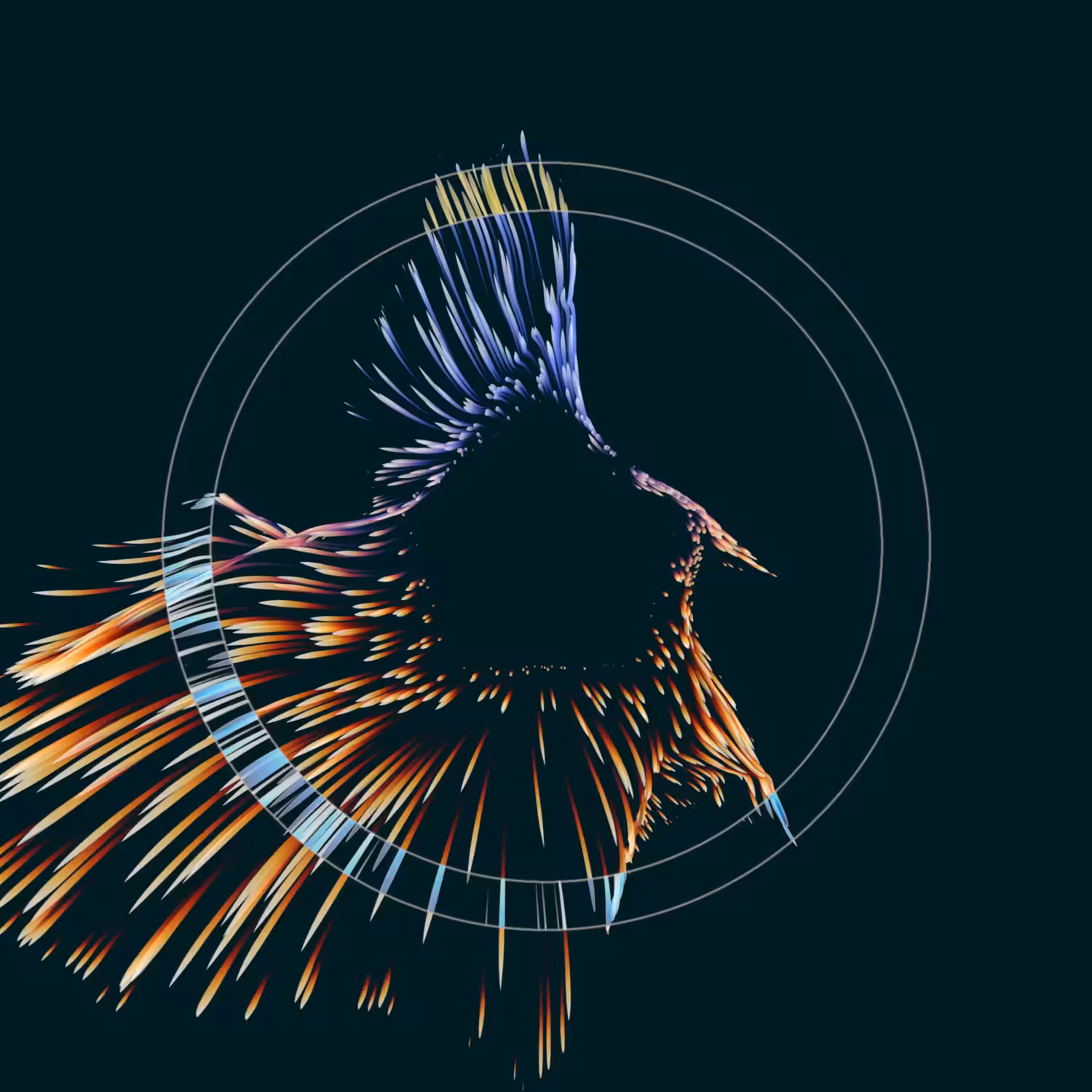 Vortex #433