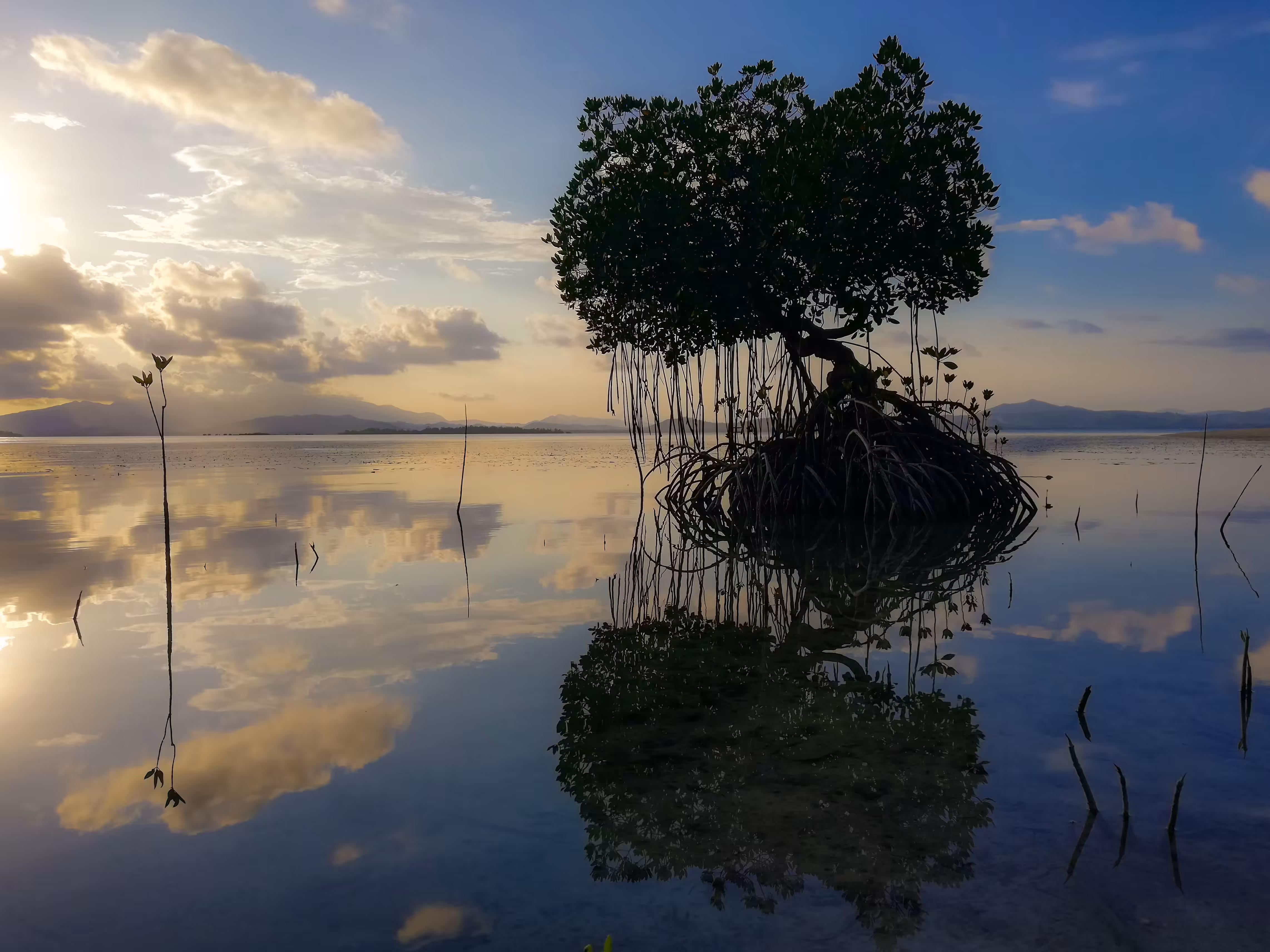 Reflections