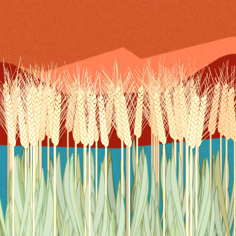 Symbiosis #39