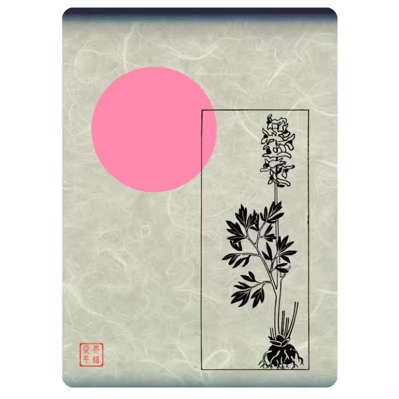 Zen flower card #7