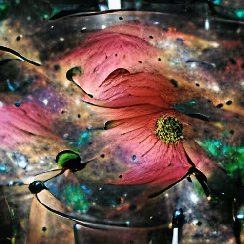 Collection "My Dreams": #70 - Stellar Wind