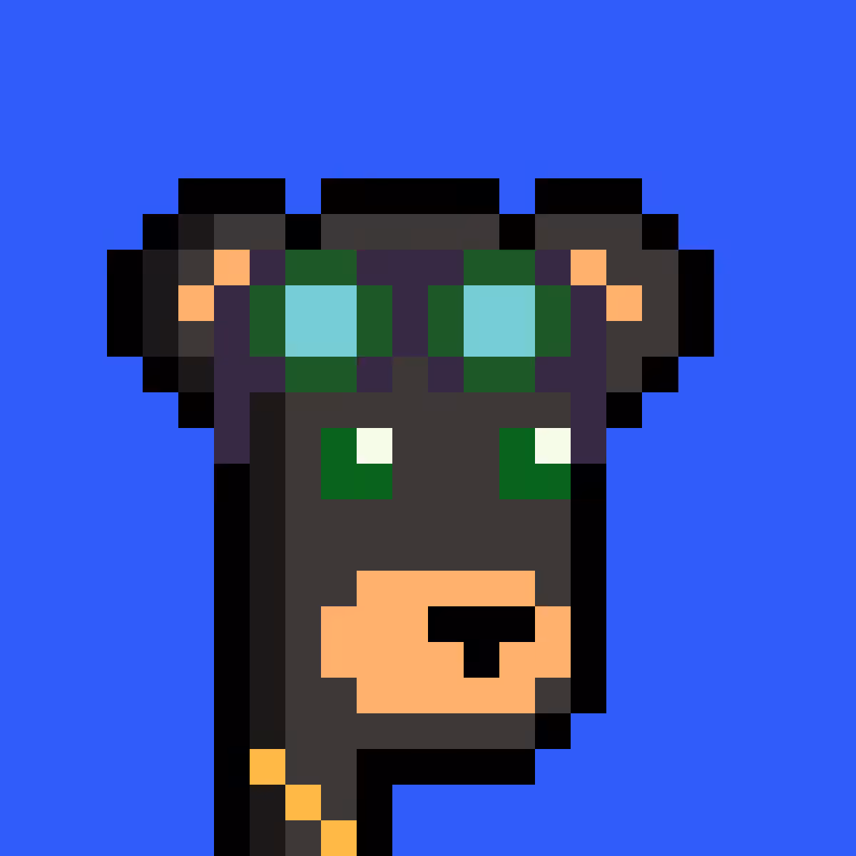 BearPunks #1991