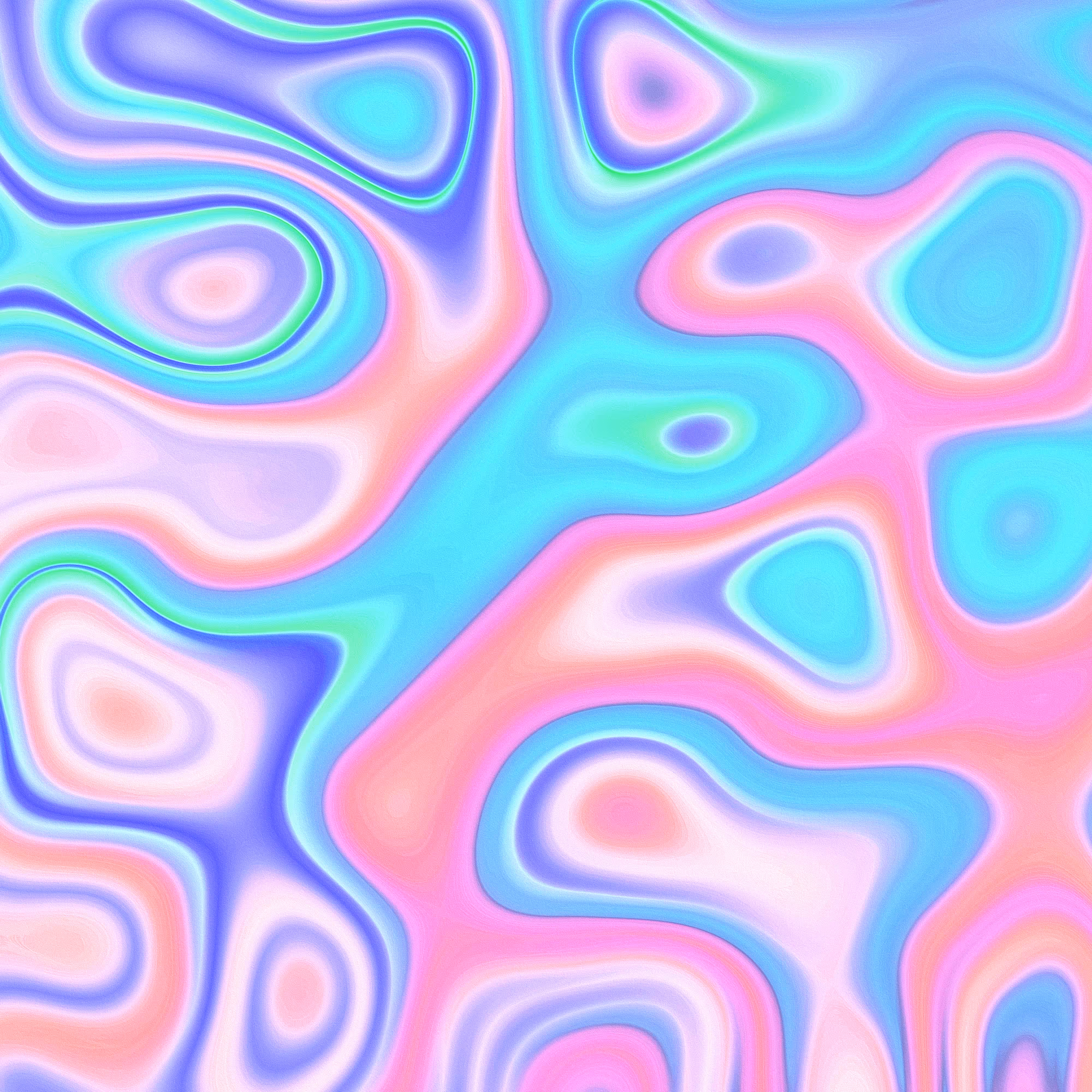                204