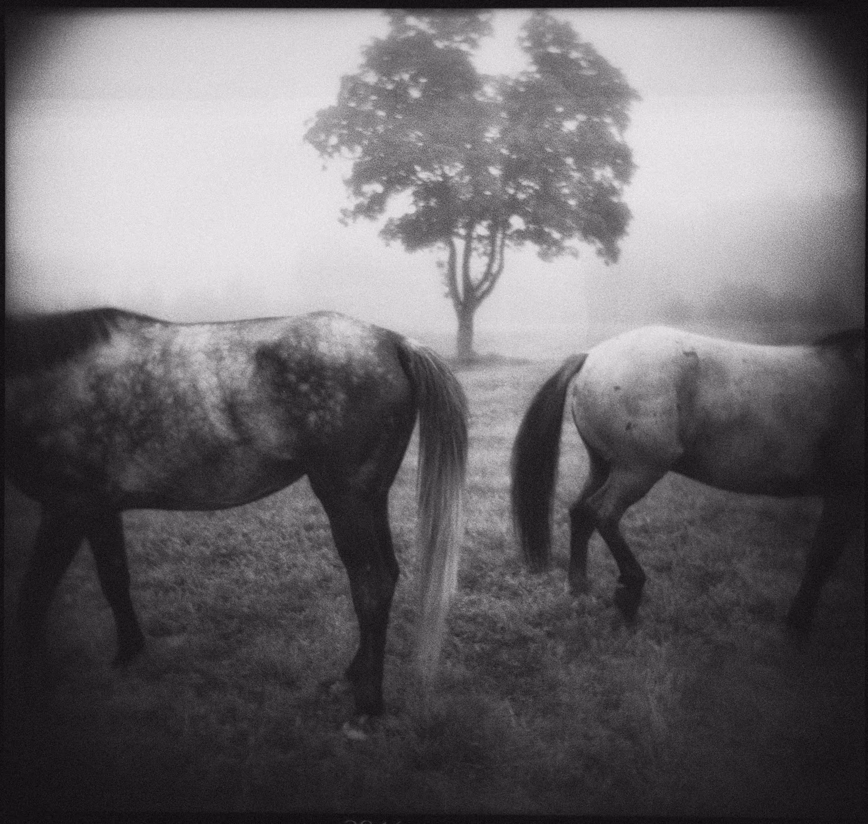 In a landscape