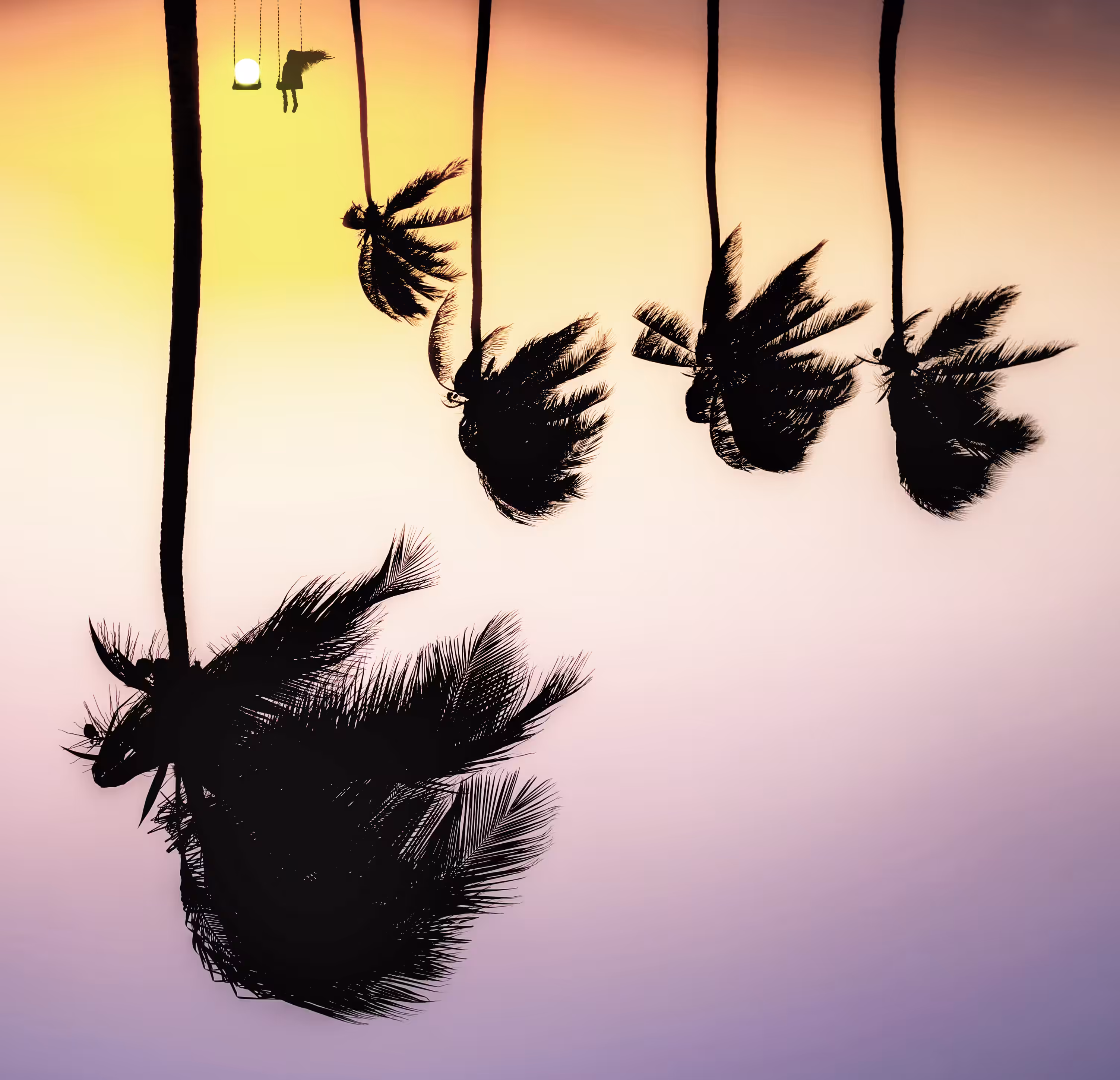 swing the freedom