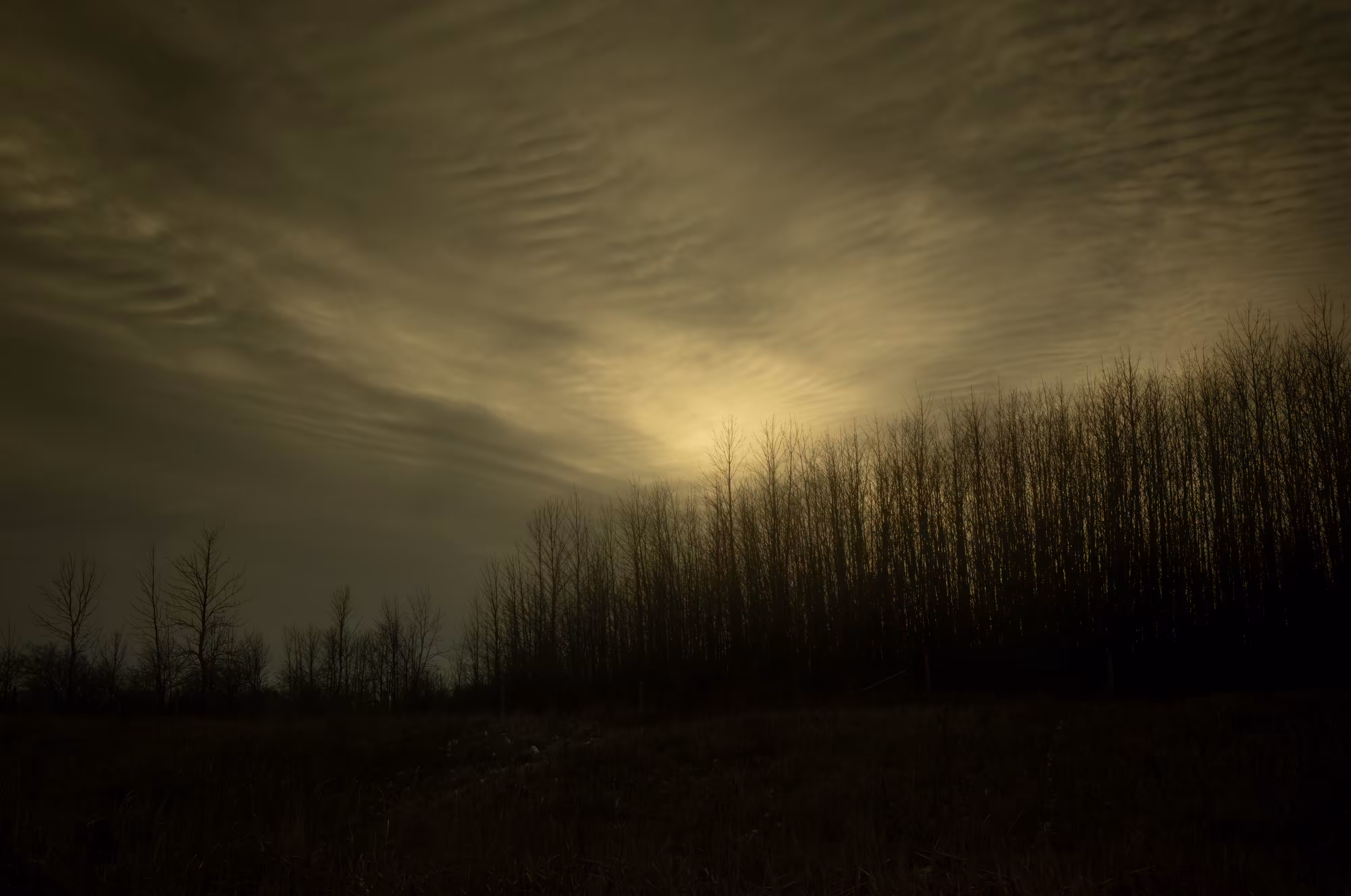 The Black Mechanism #48 (Untitled 12081-2057) by Todd Hido