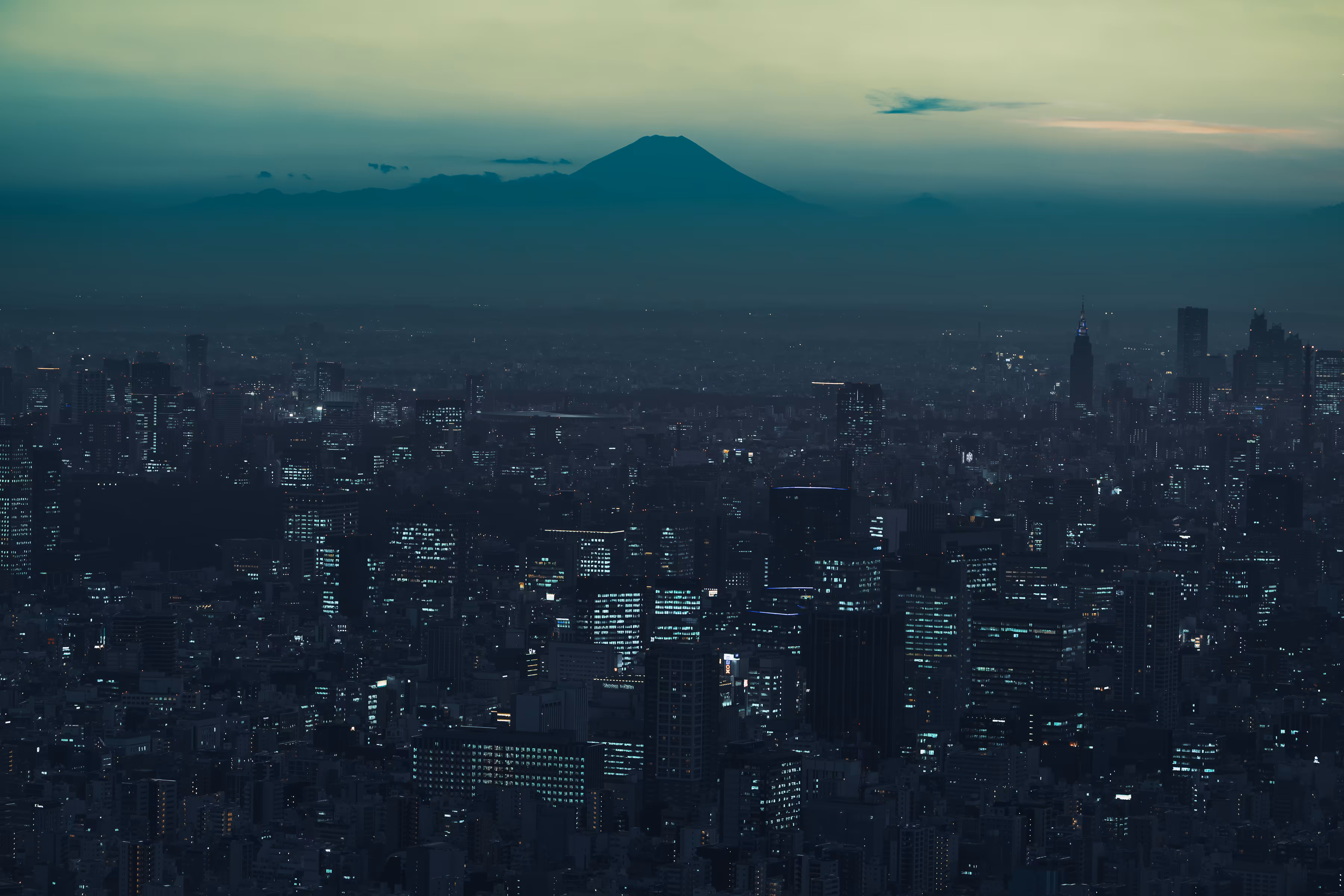 FUJI & TOKYO