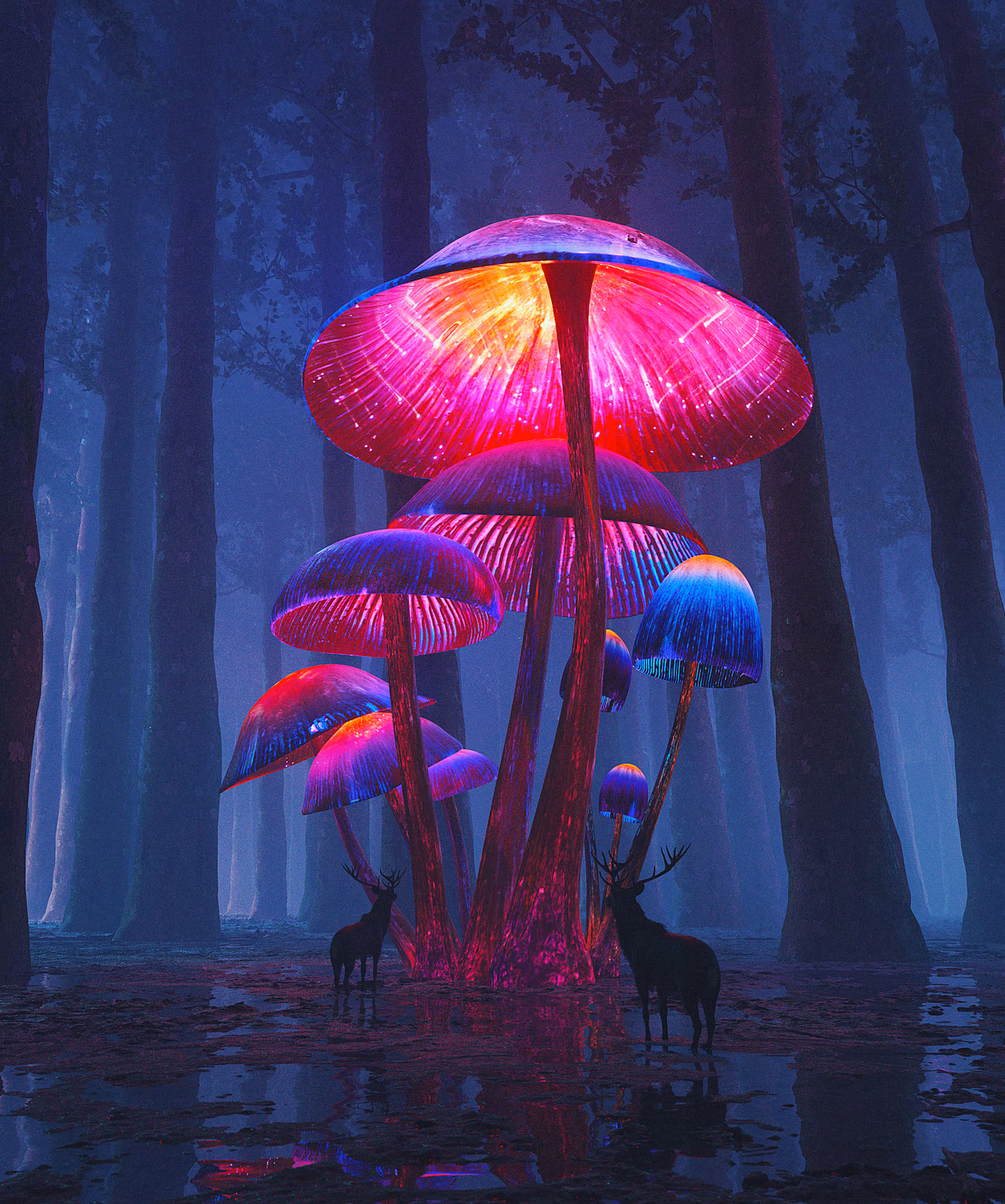 The Magic Shrooms