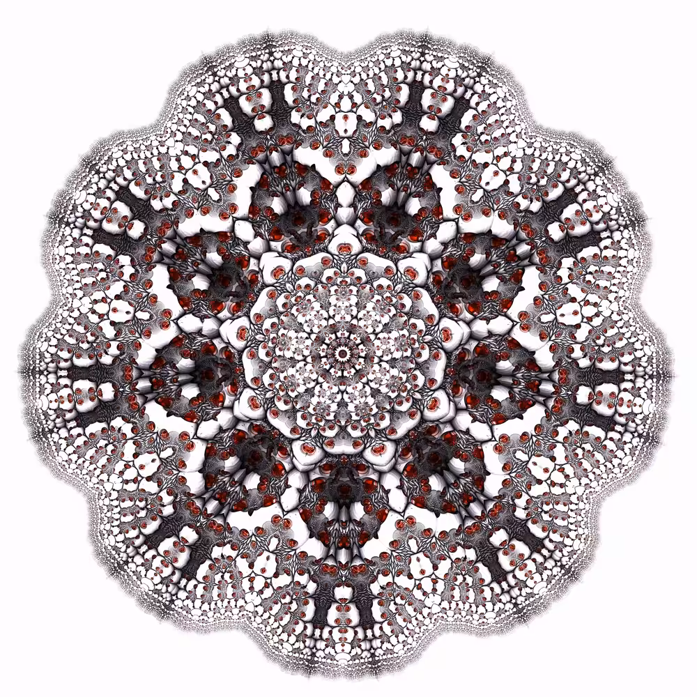 Rubiscus