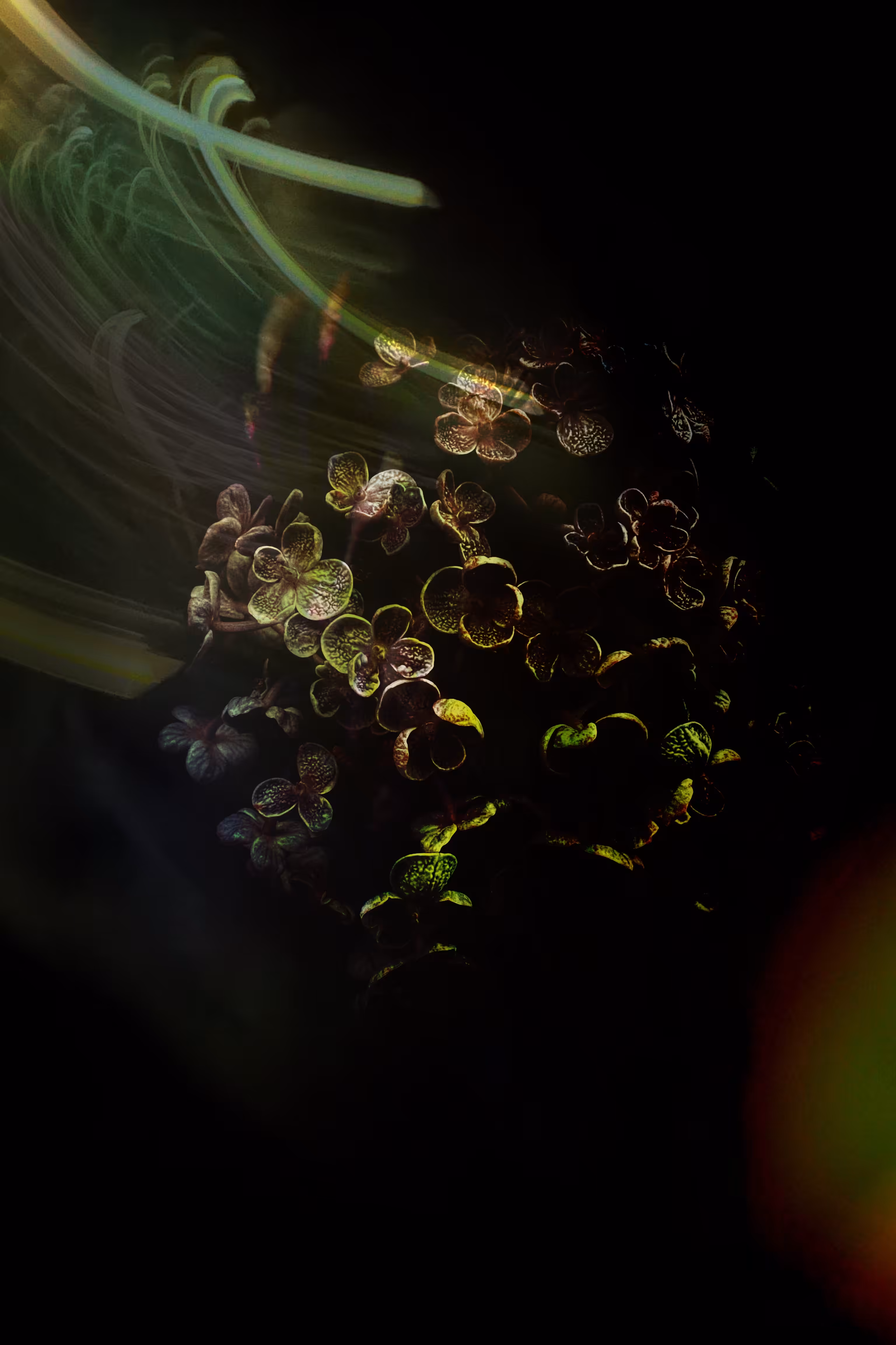 When Darkness Meets the Light