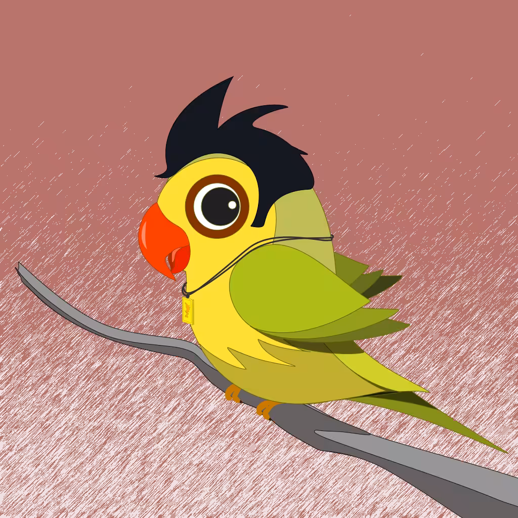 All season birdy #66
