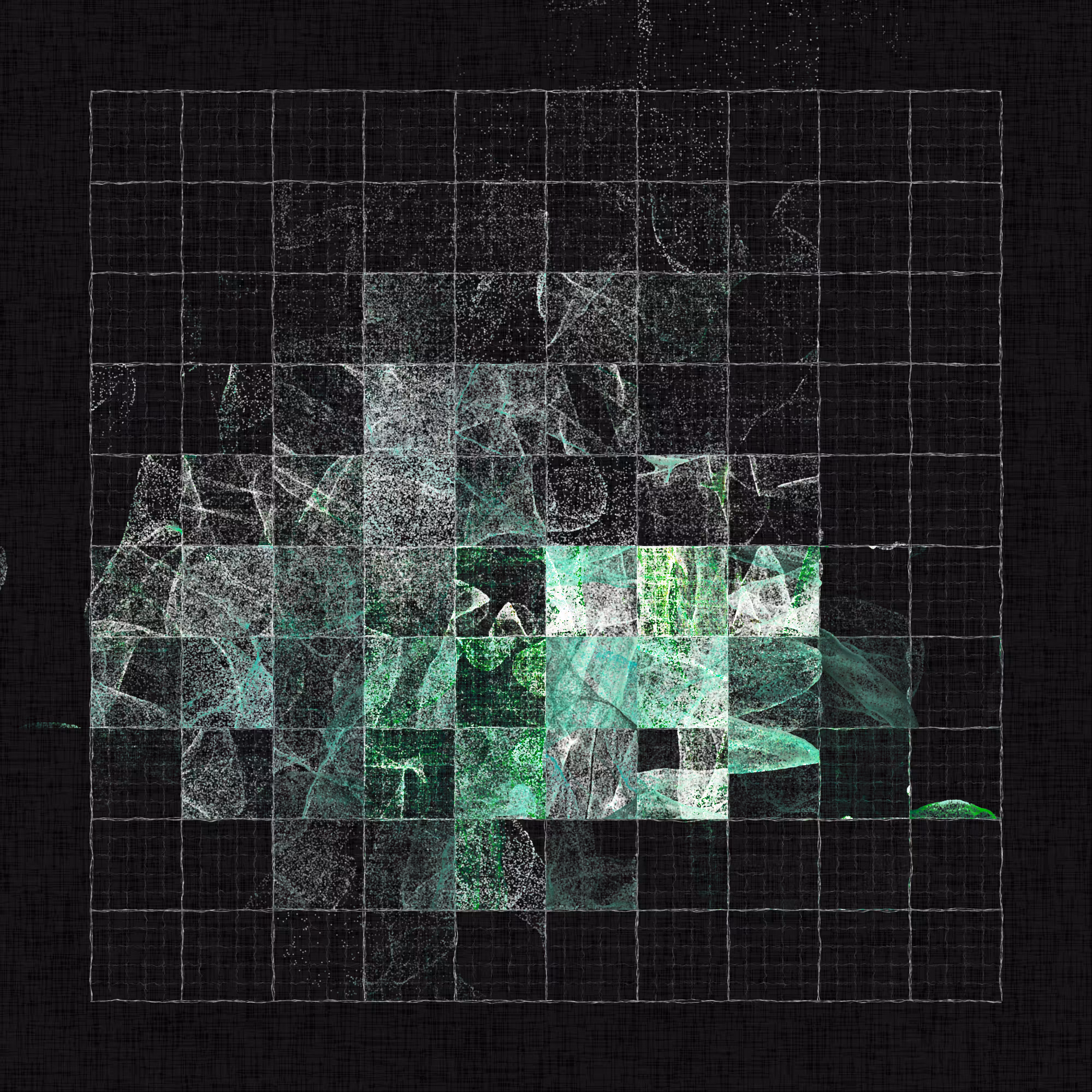 常磐-tokiwa- Black Edition