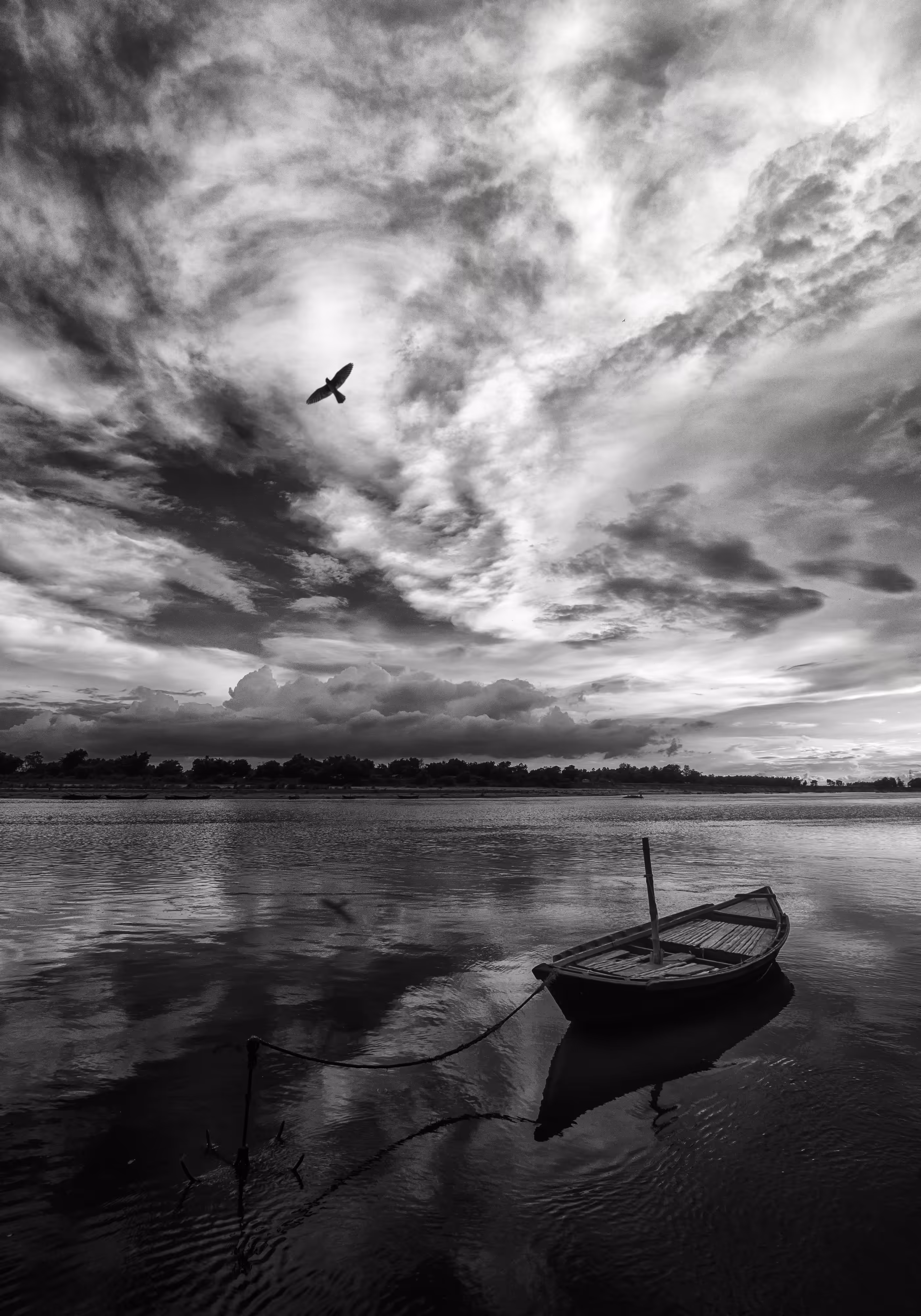 OPEN EDITIONS by Arijit
