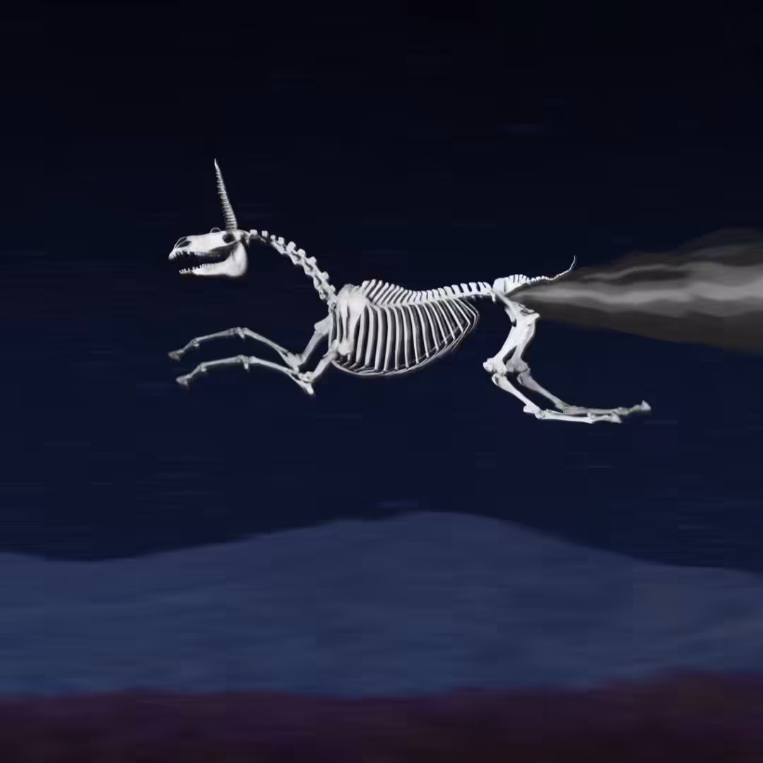 Flying Pony